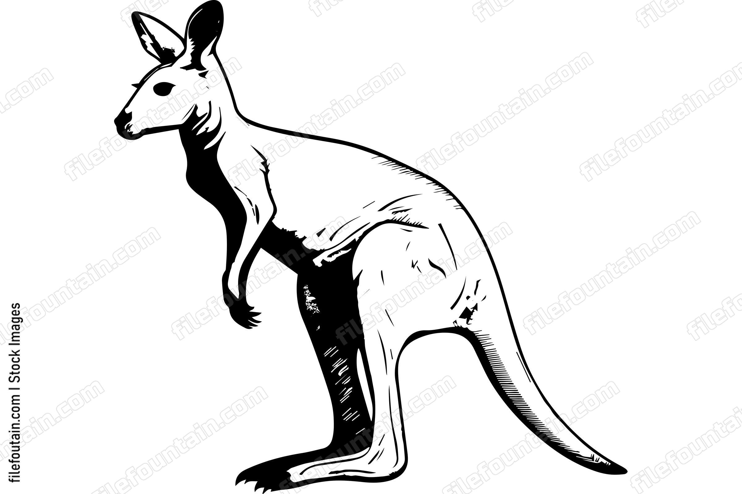 Kangaroo