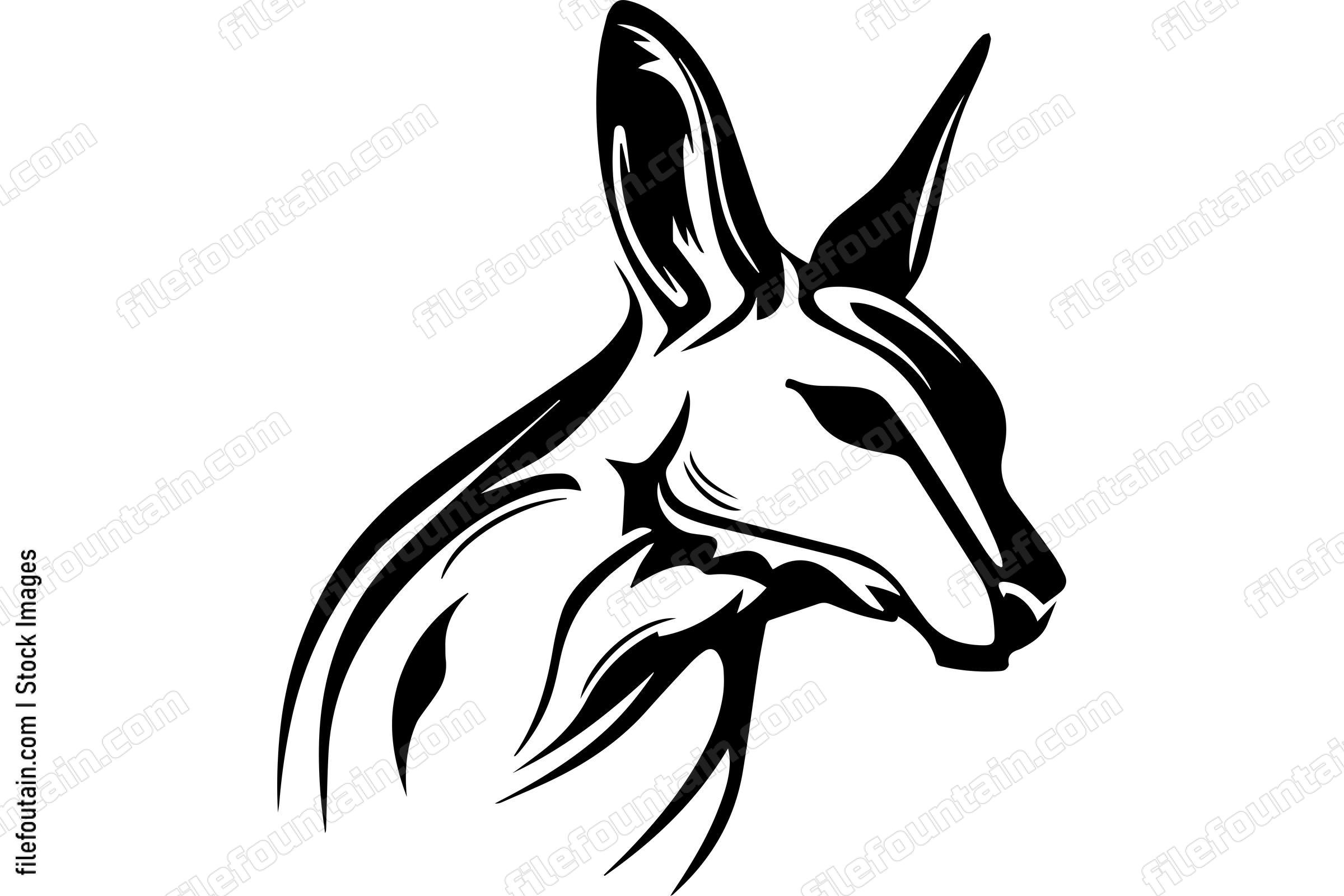 Kangaroo