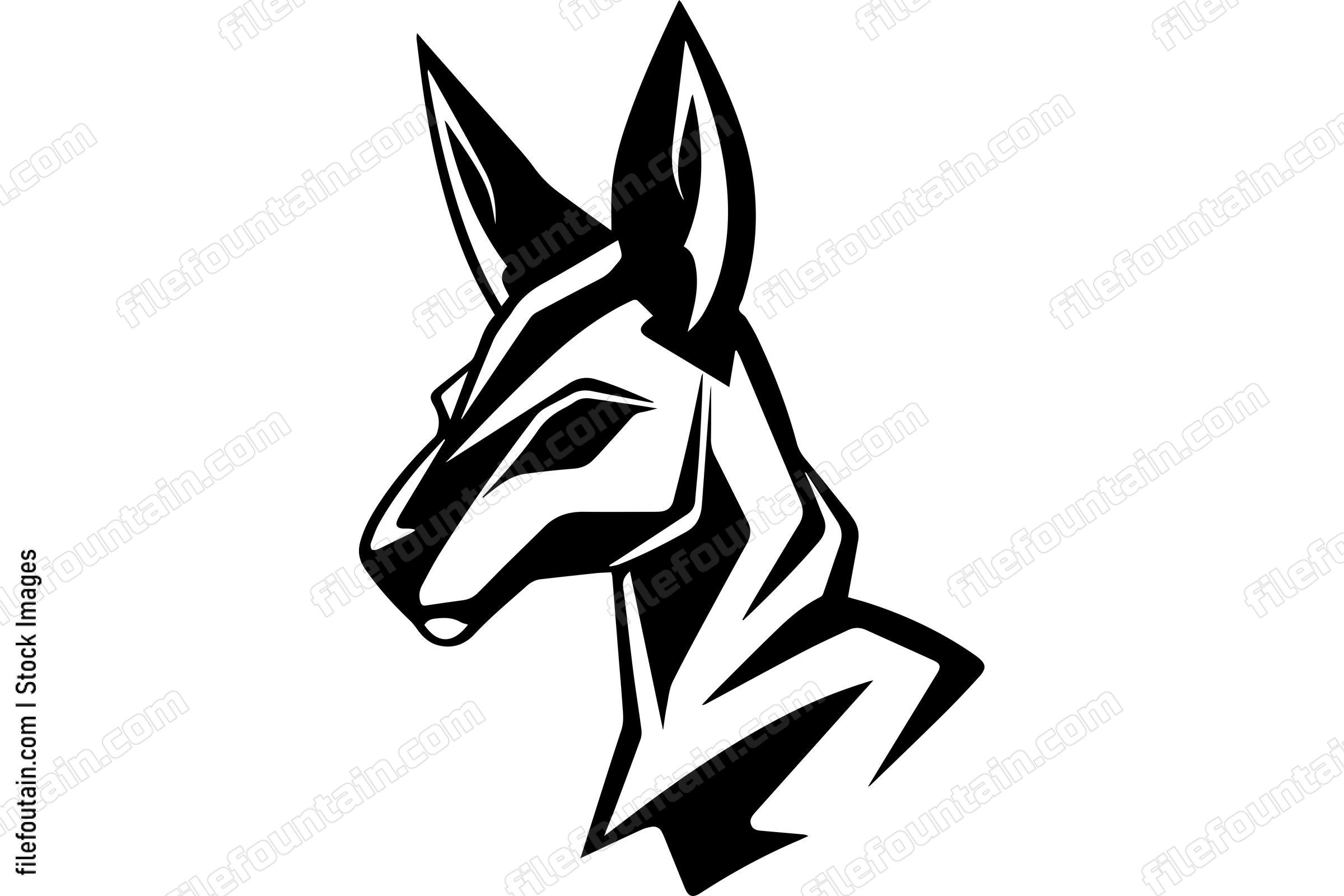 Kangaroo