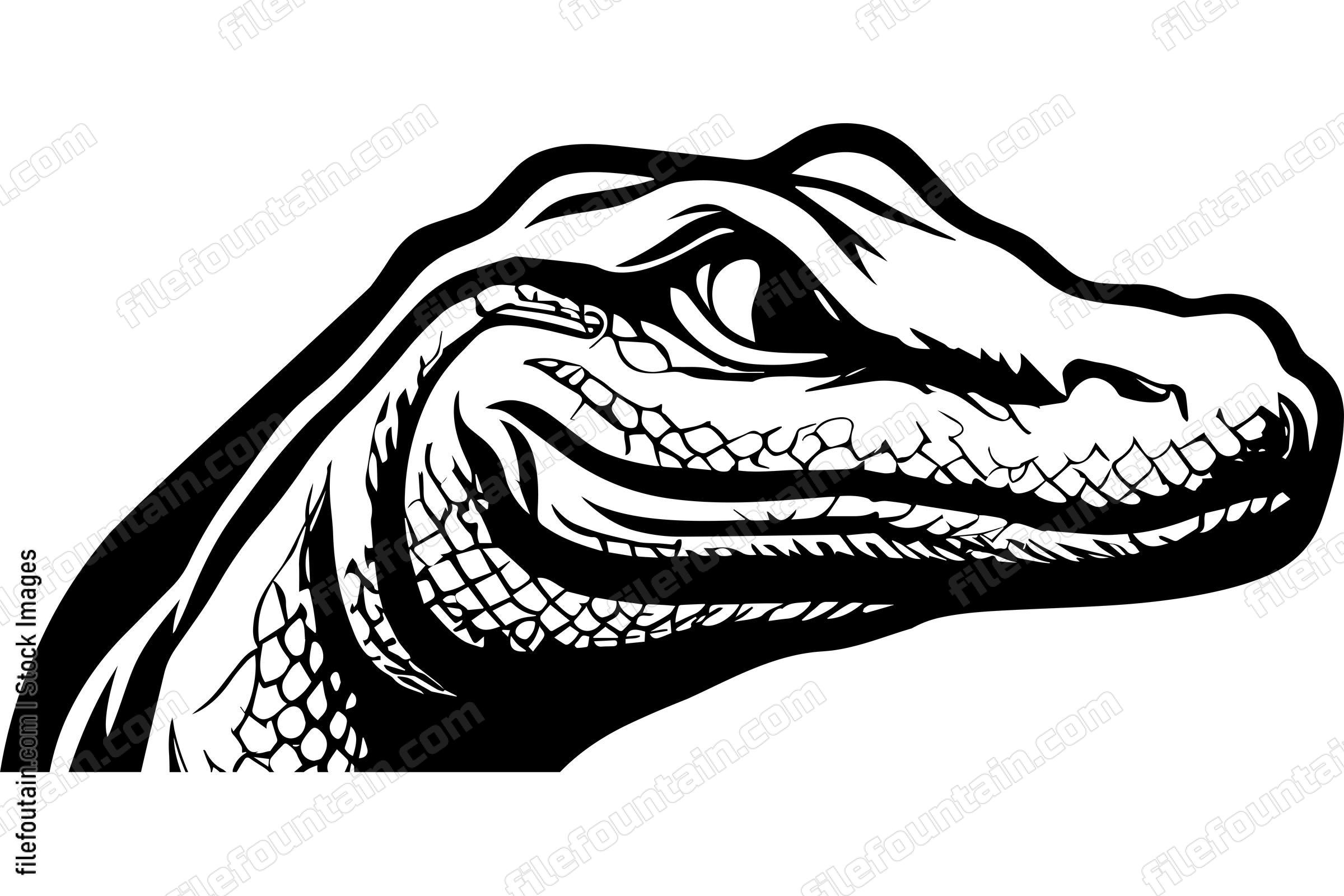 Komodo Dragon