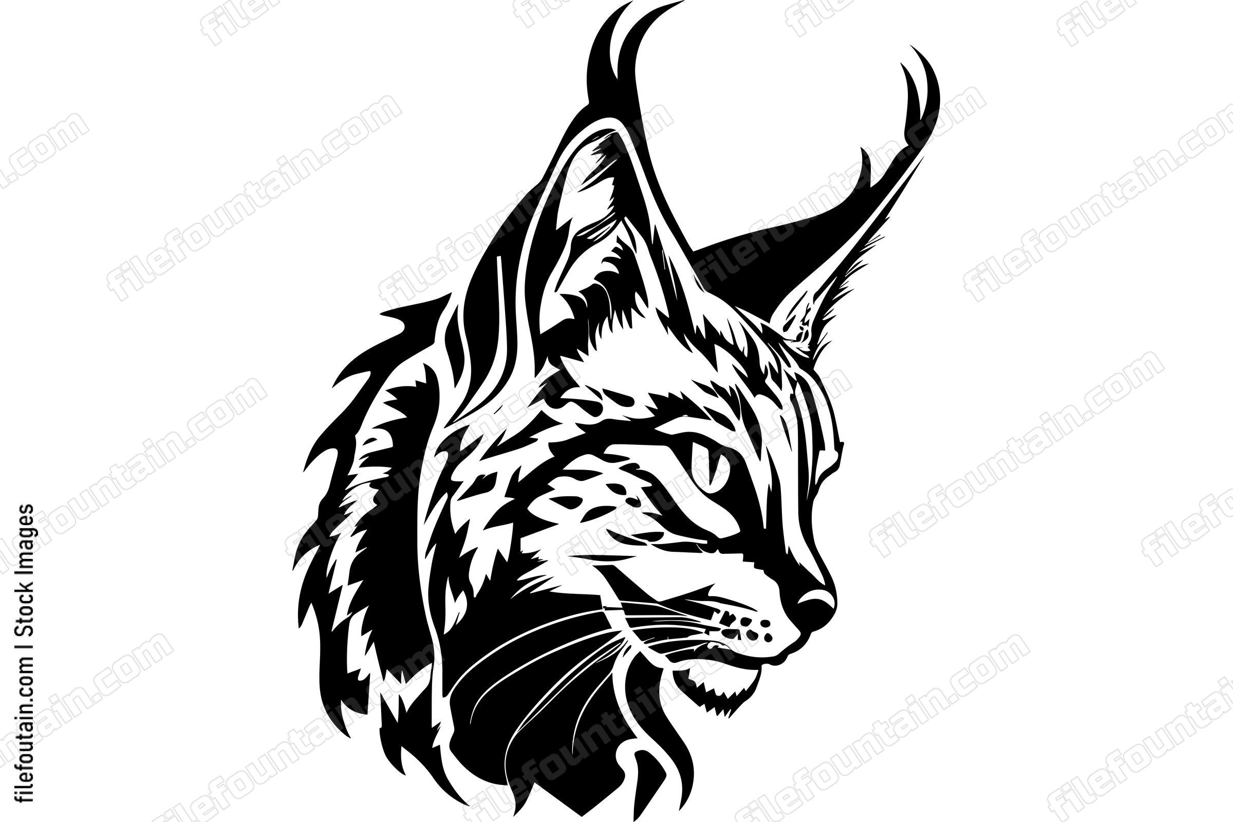 Lynx