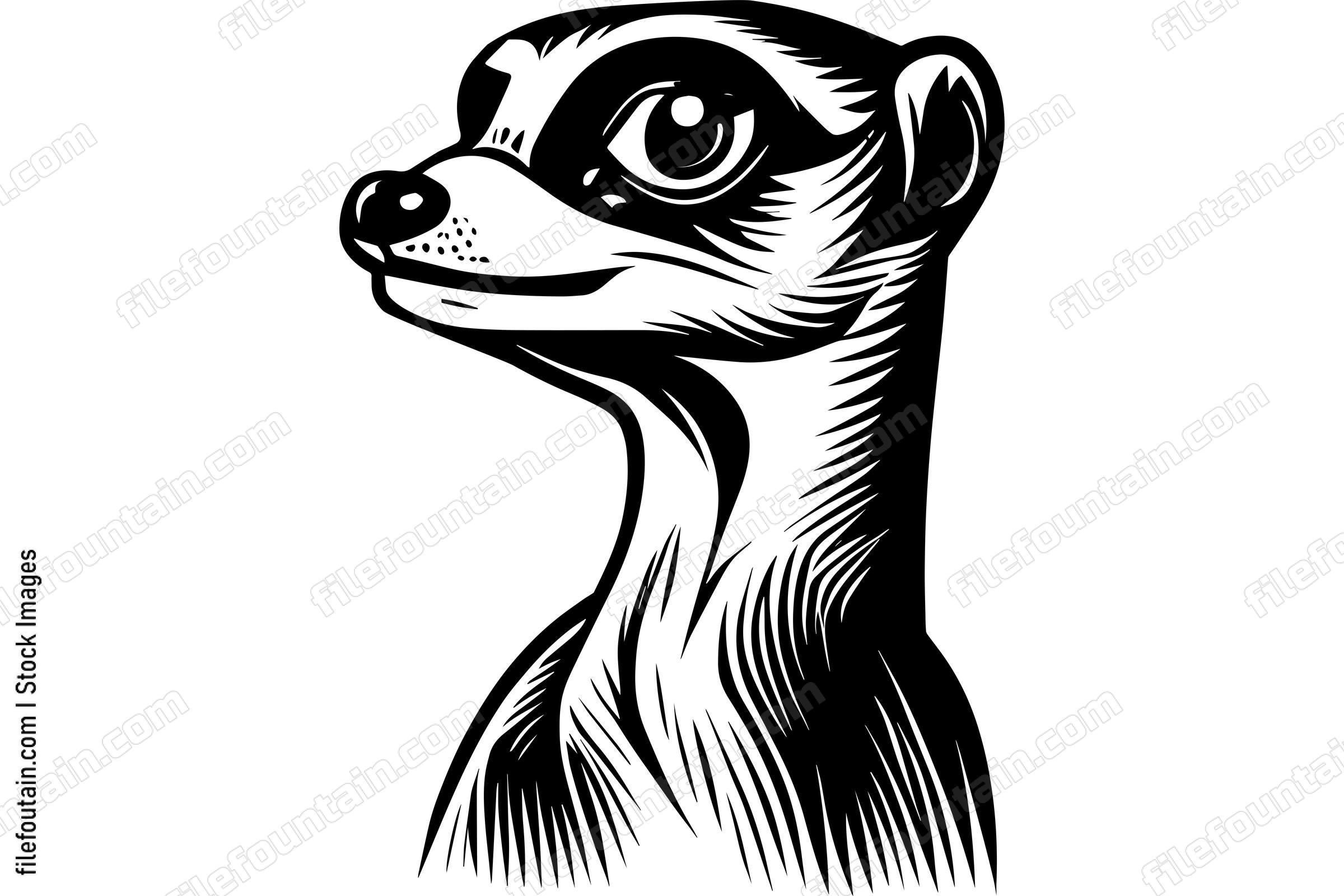 Meerkat