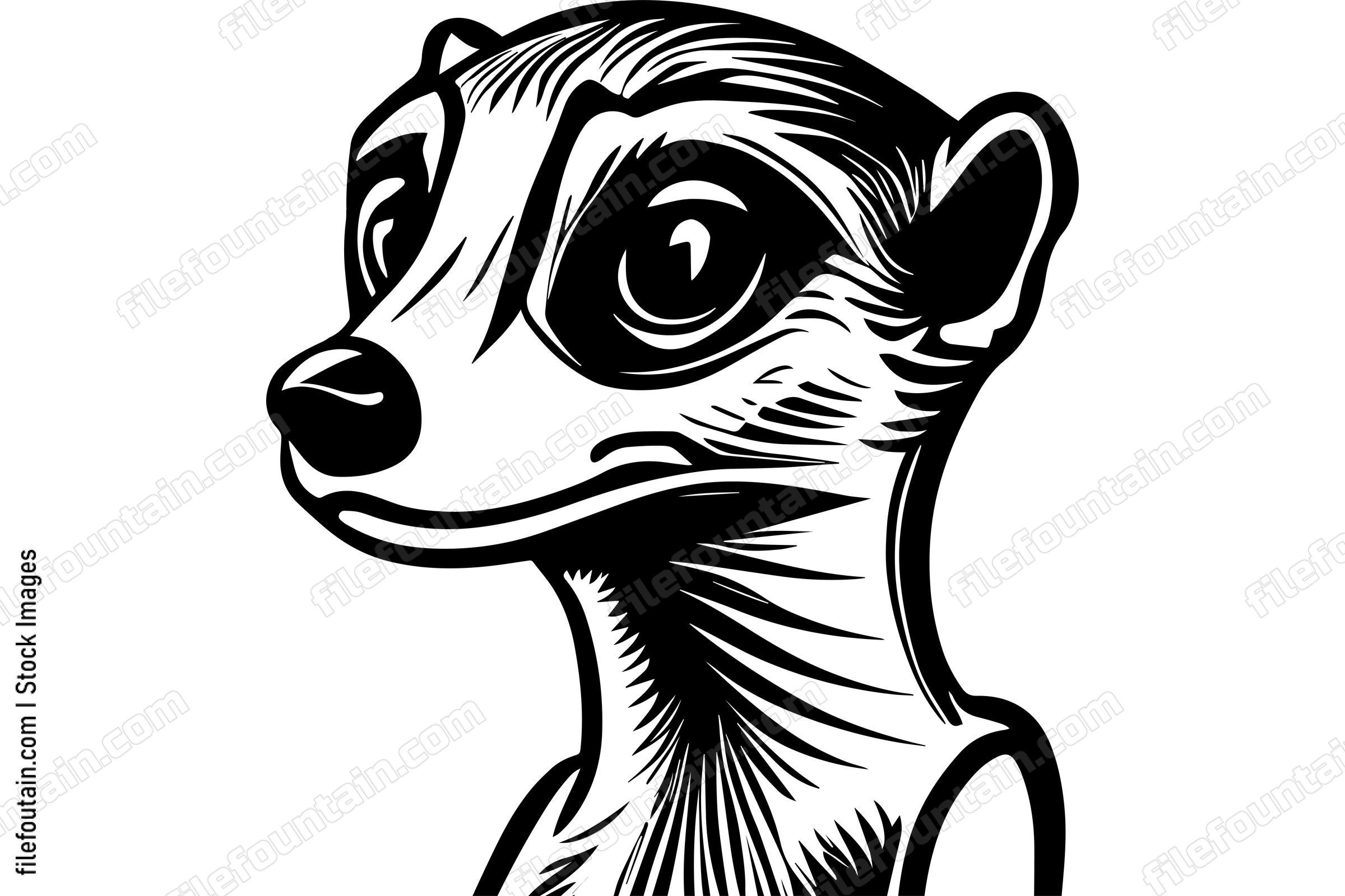 Meerkat