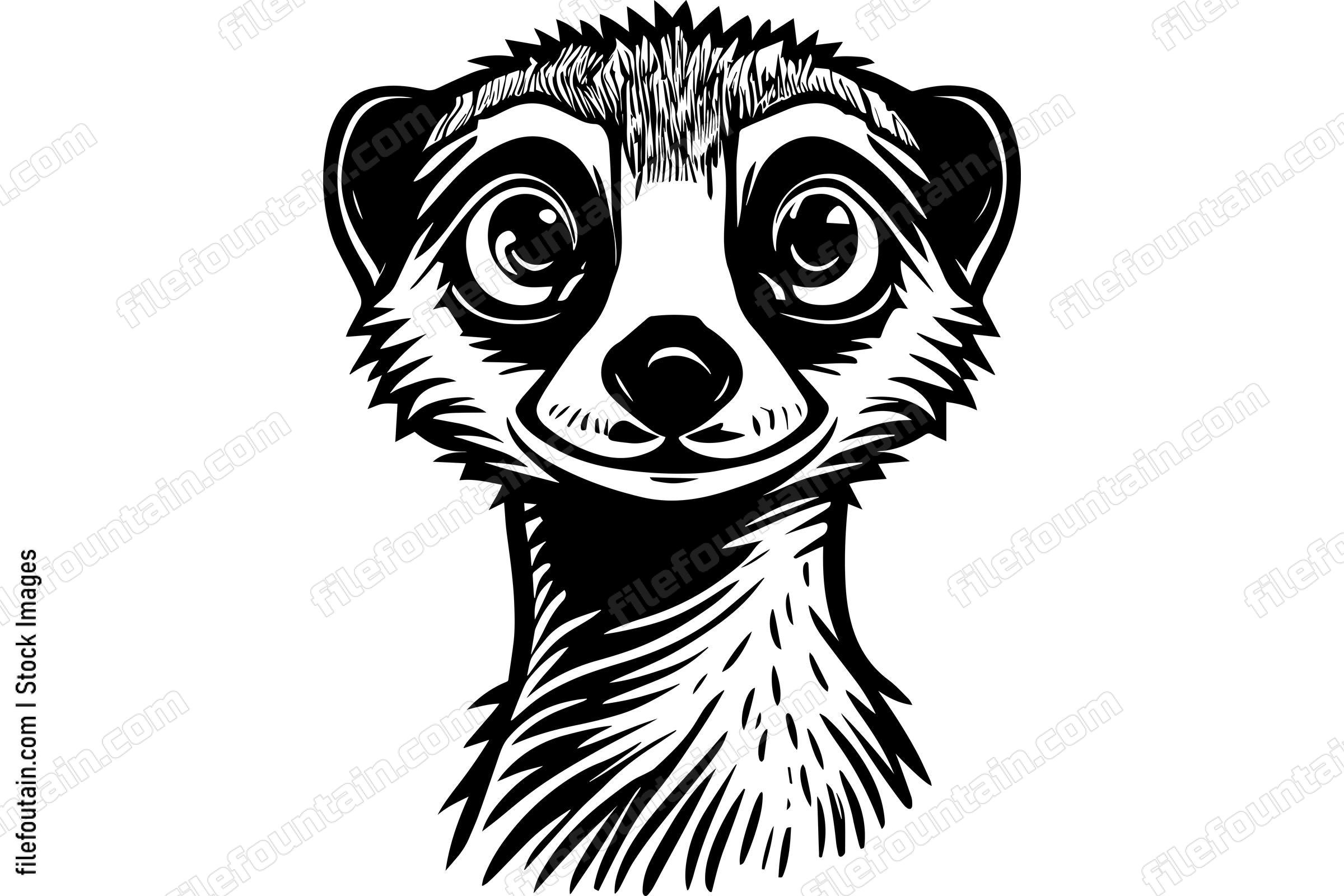 Meerkat