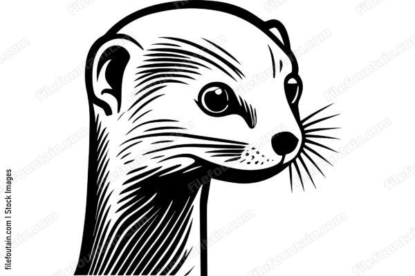 Mongoose