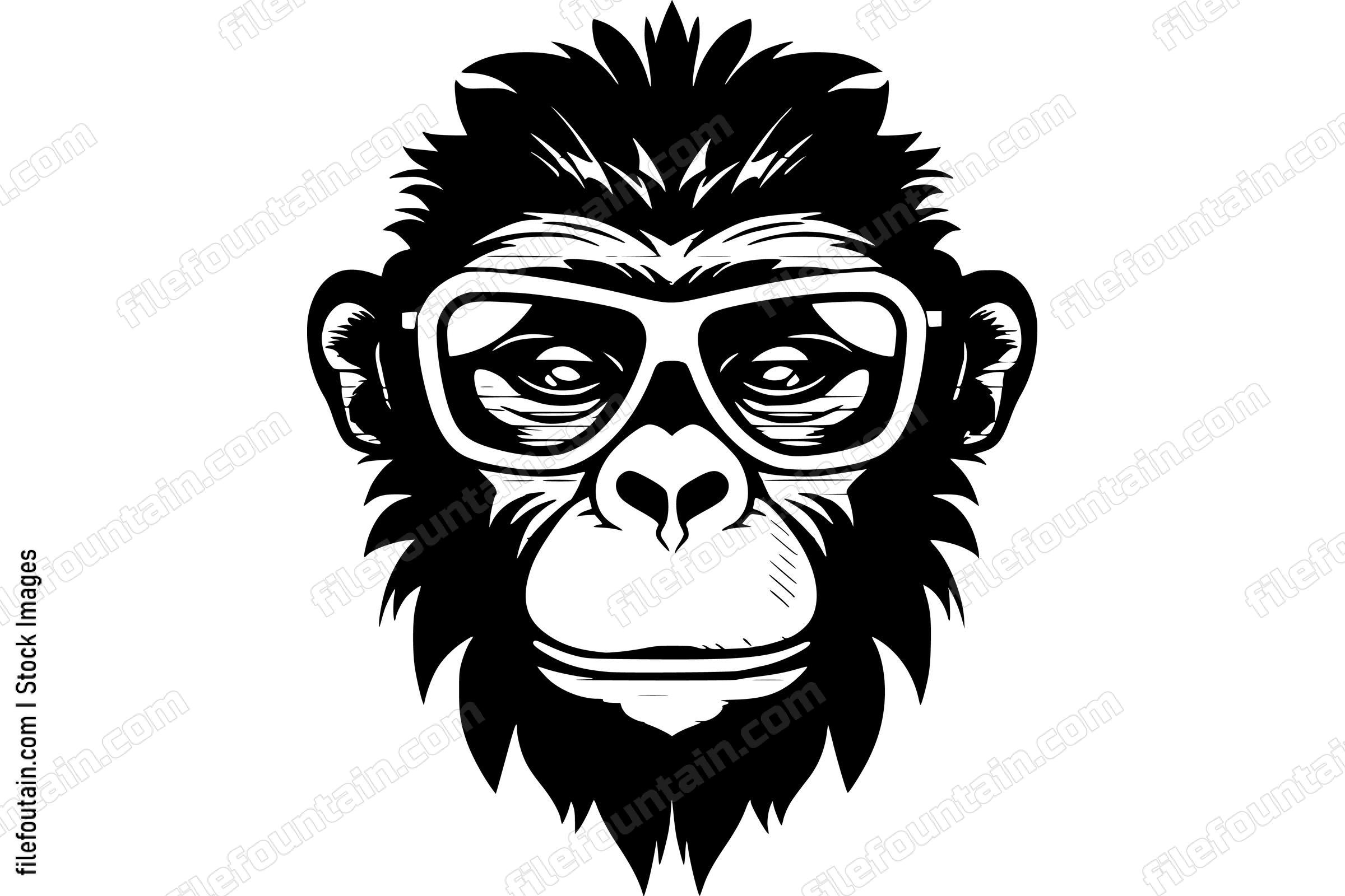 Monkey With Glasses