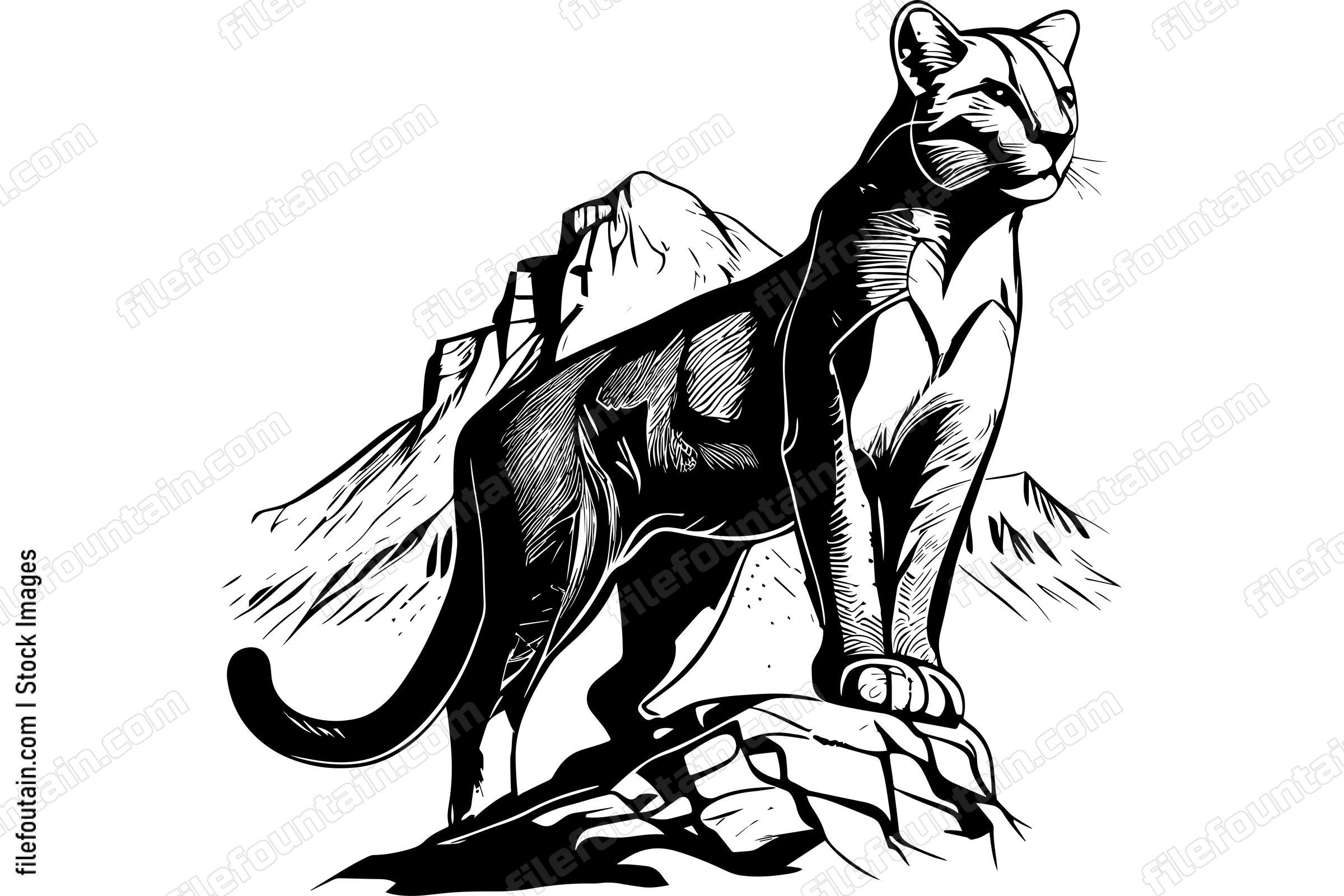 Mountain Lion