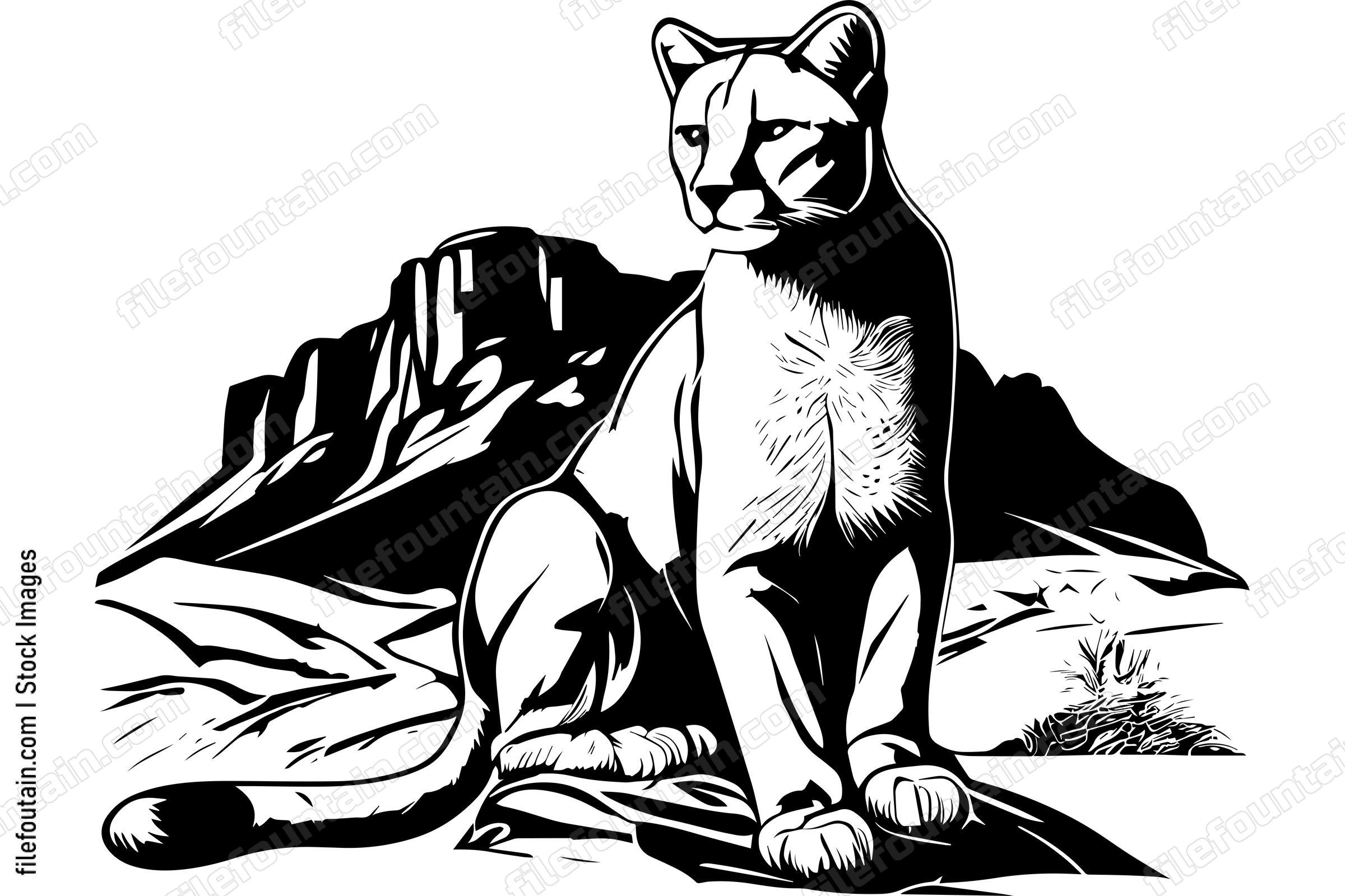 Mountain Lion