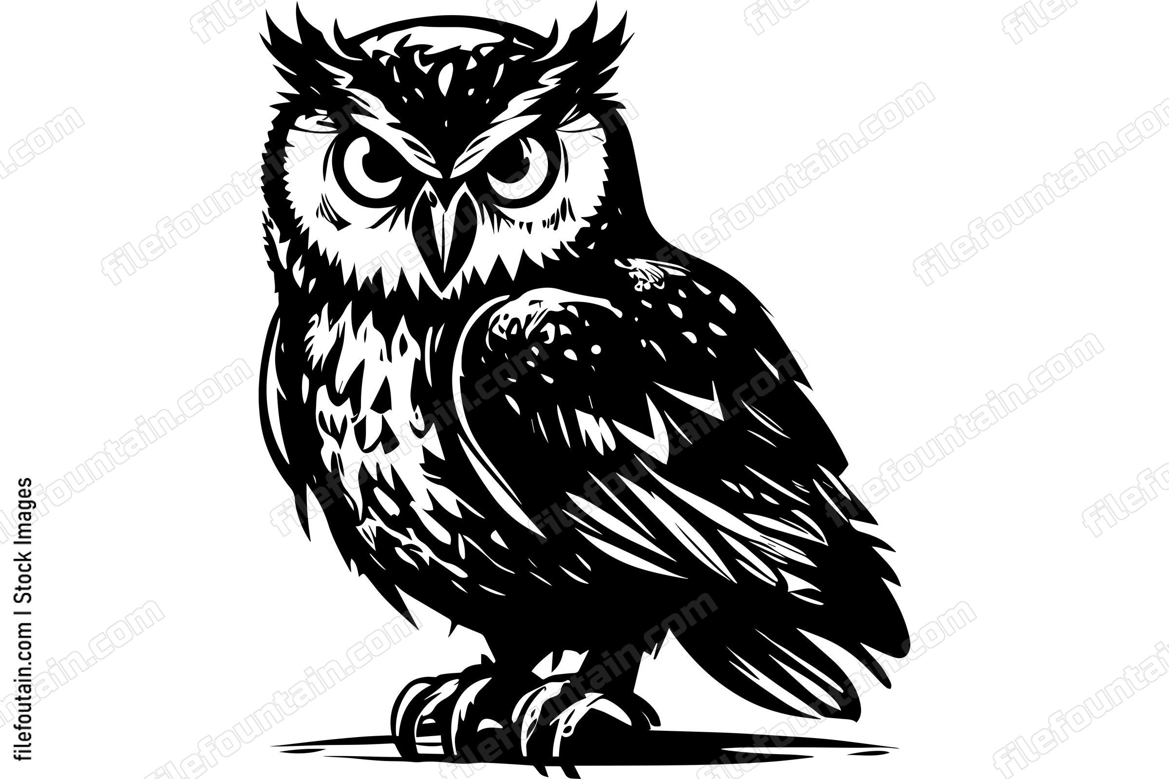 Owl