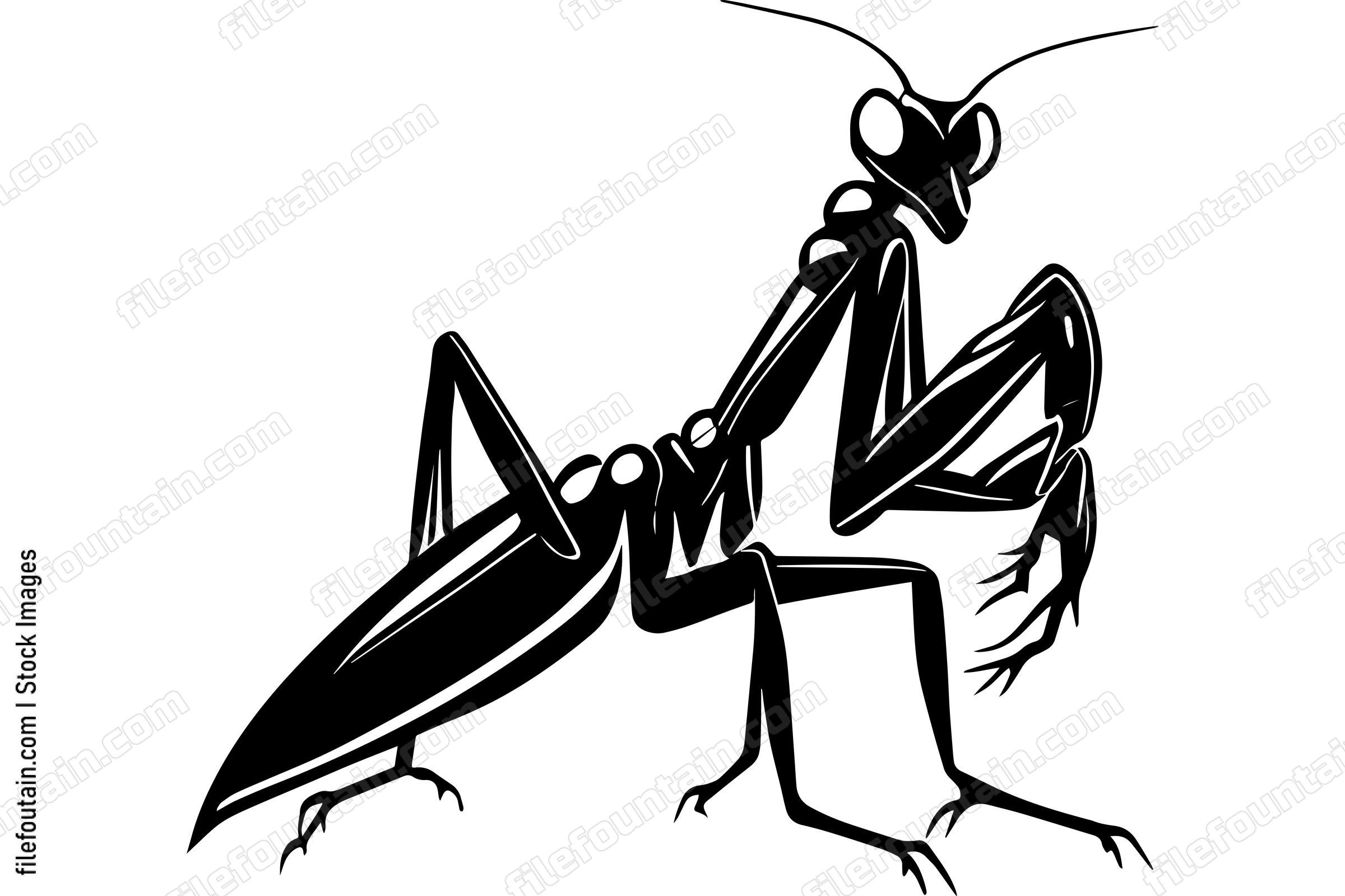Praying Mantis