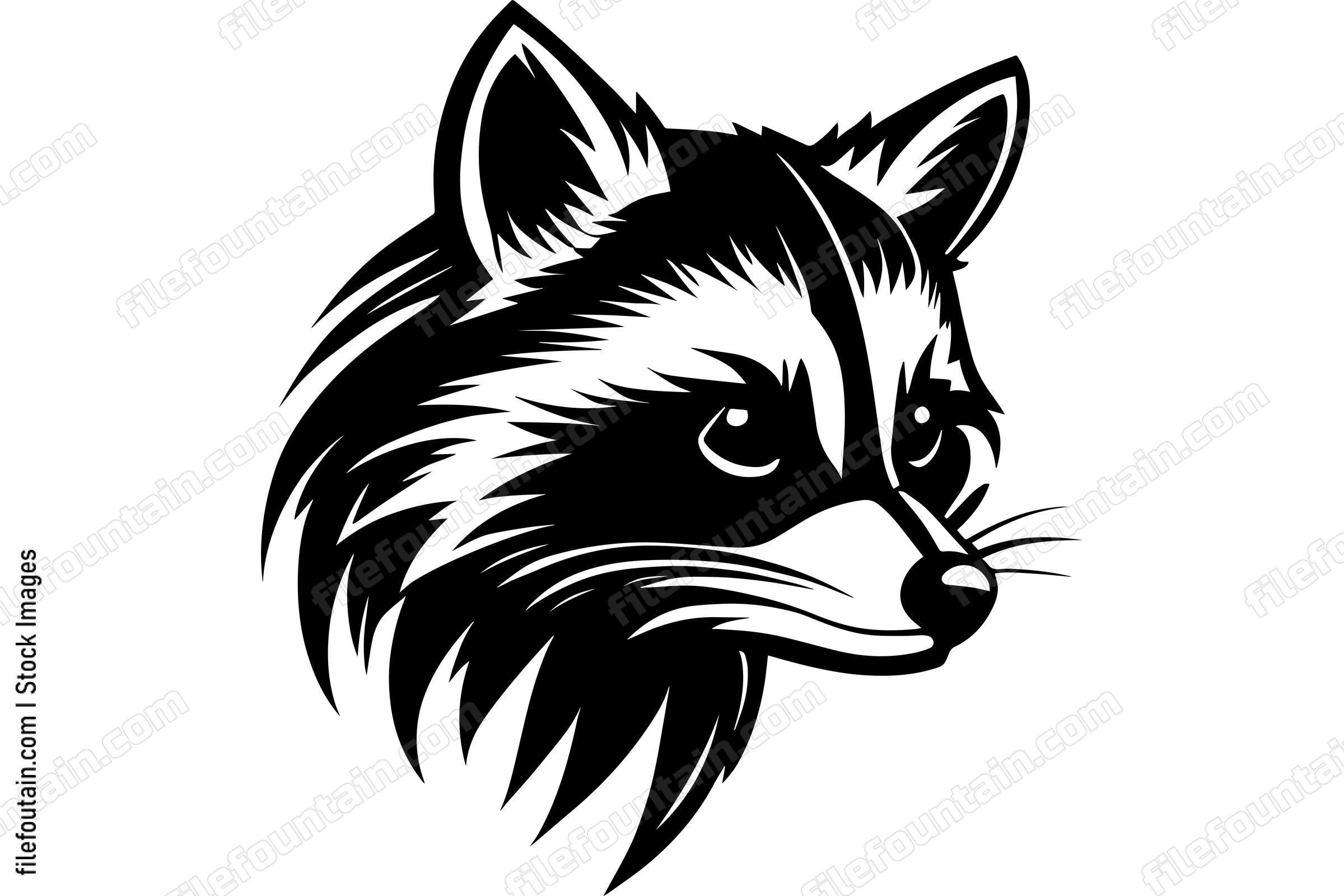 Raccoon