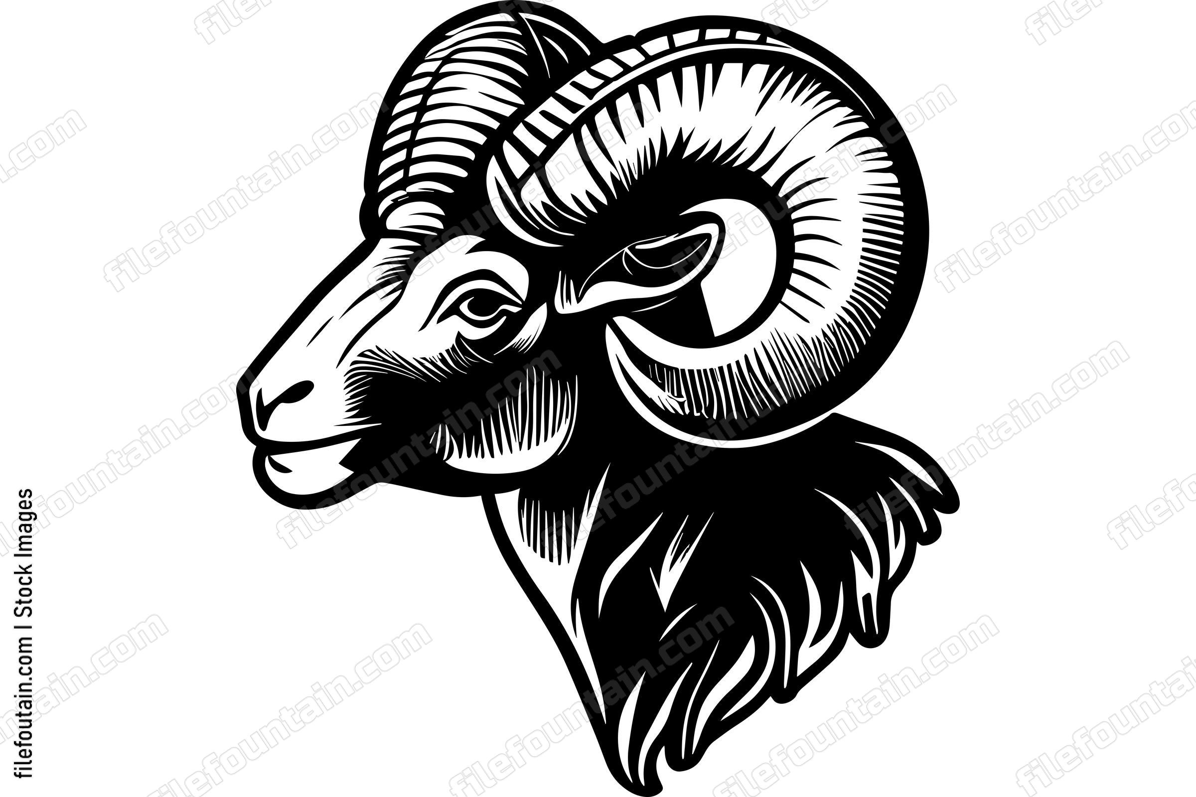 Ram