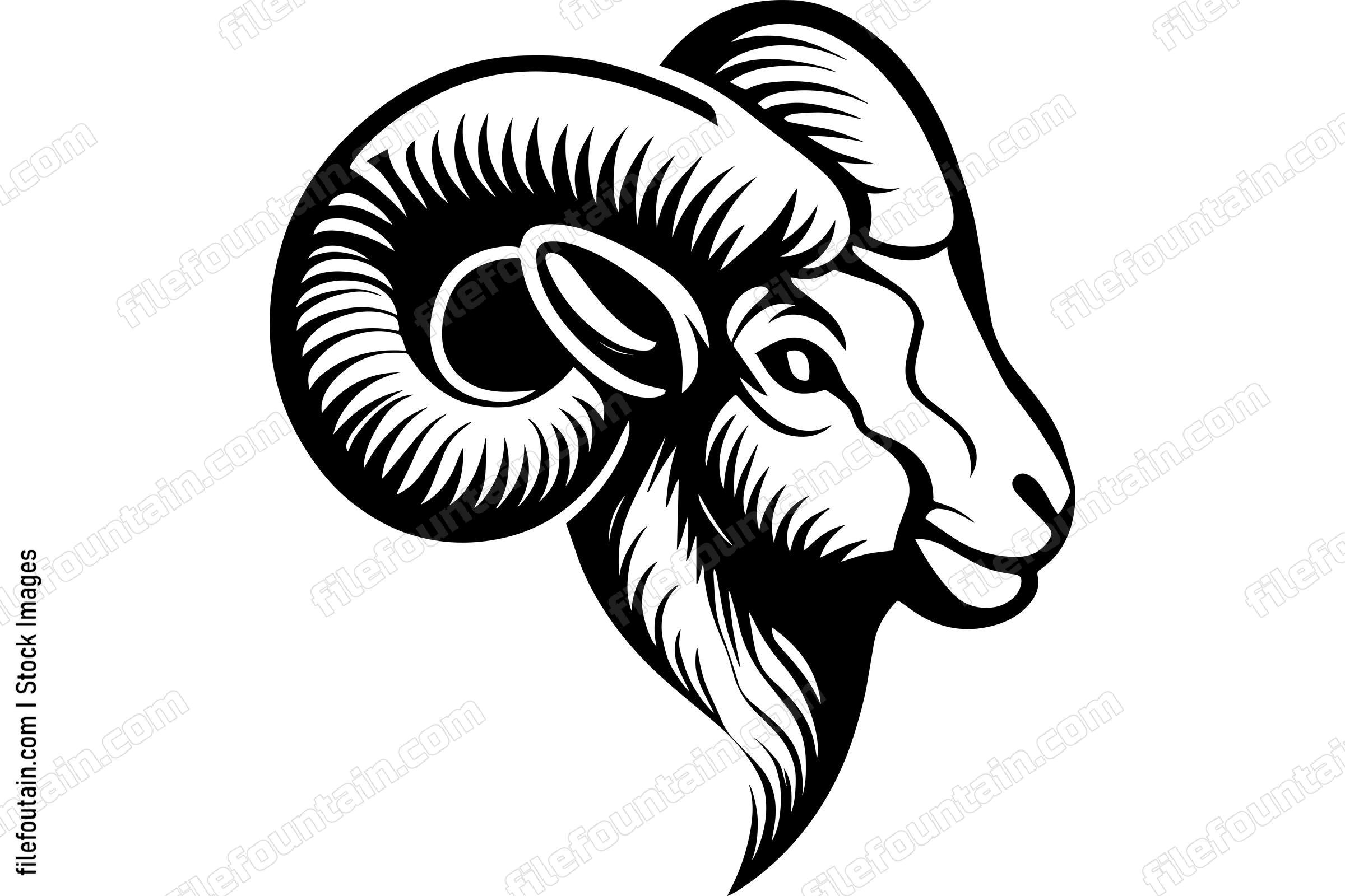 Ram