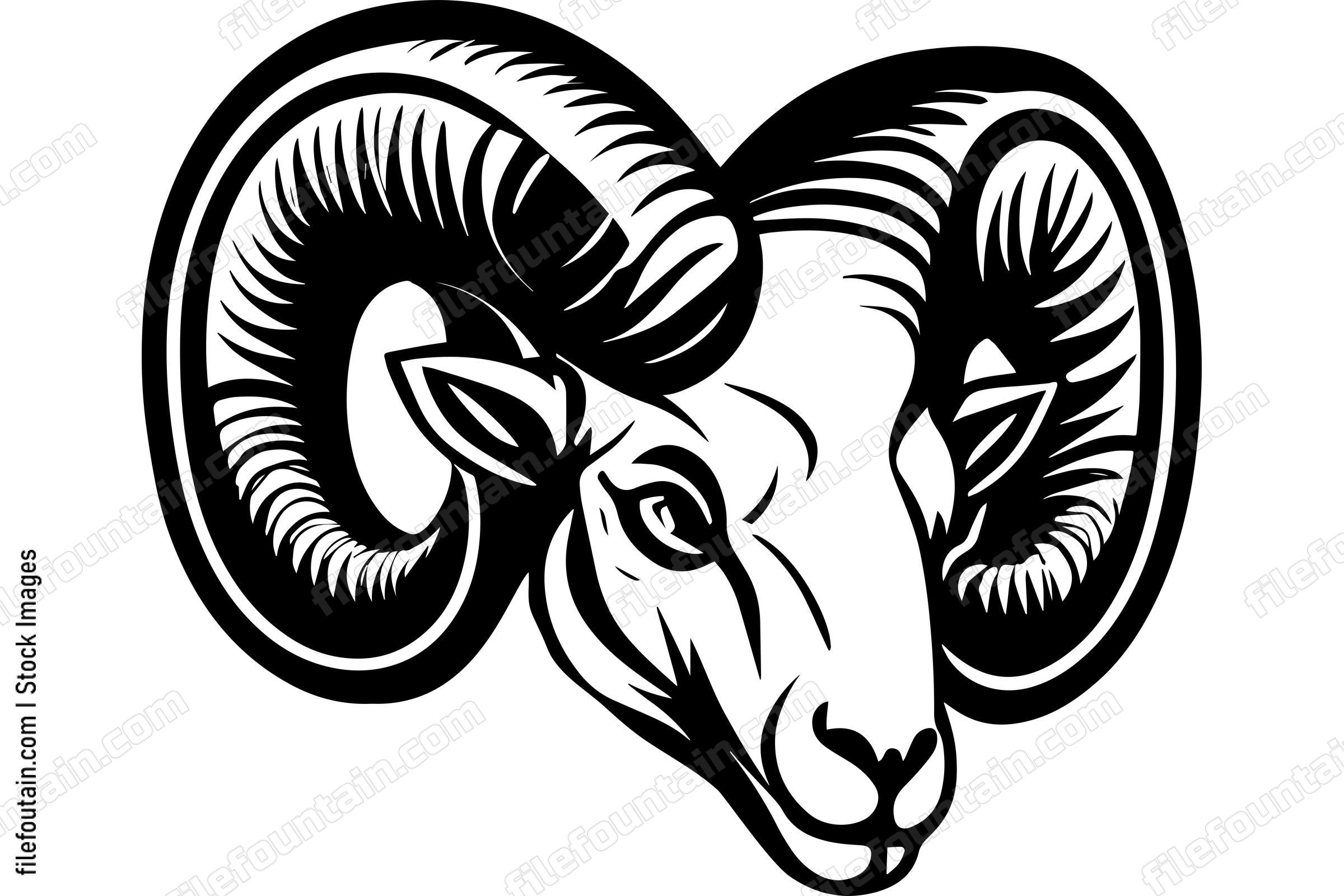 Ram