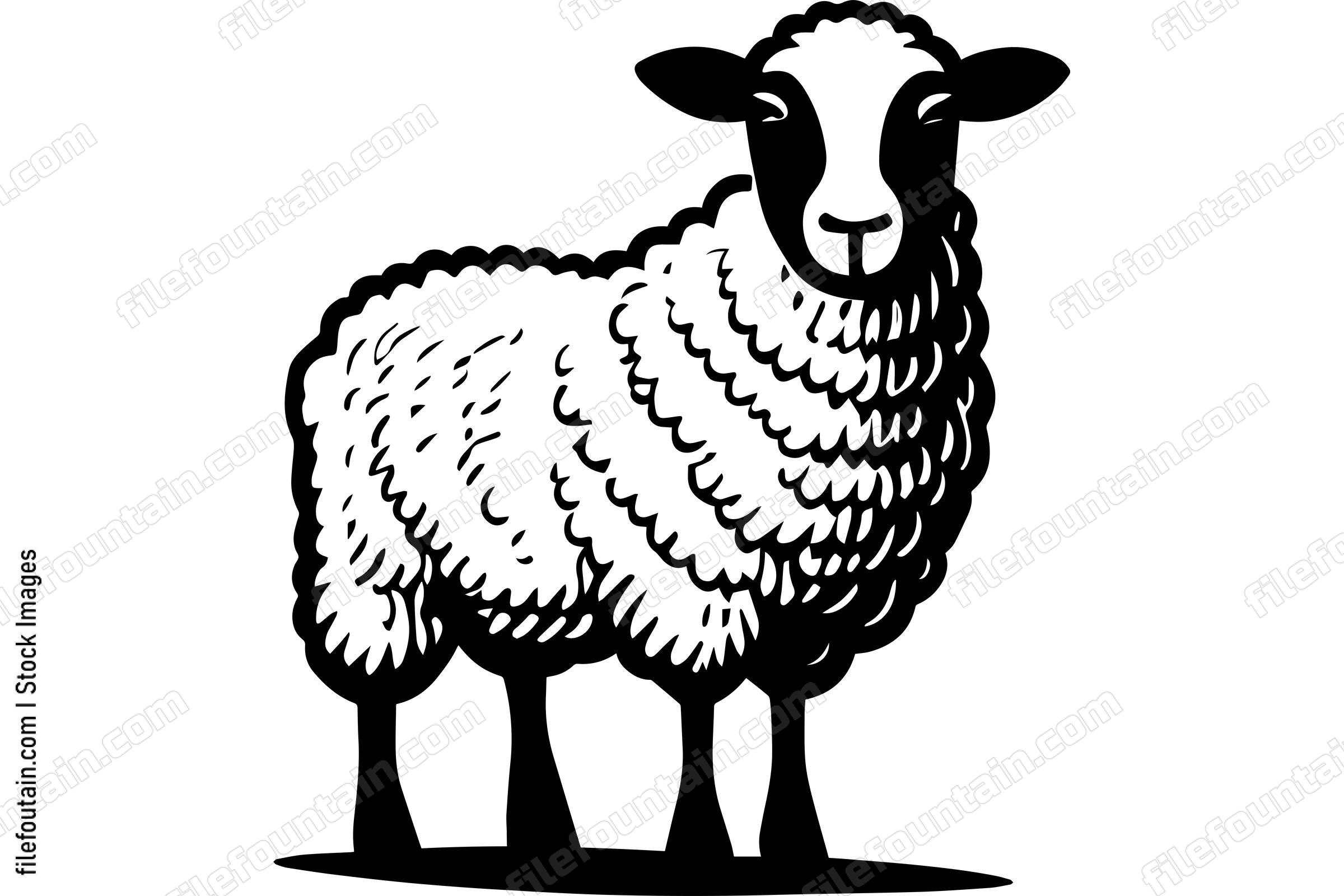 Sheep