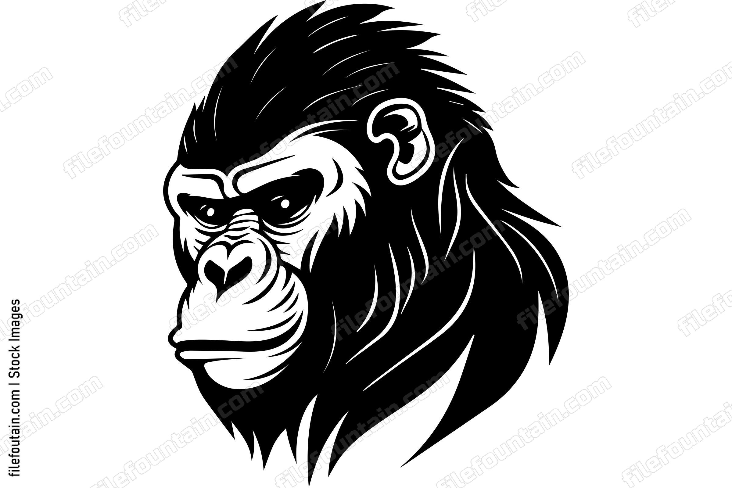 Silverback Gorilla