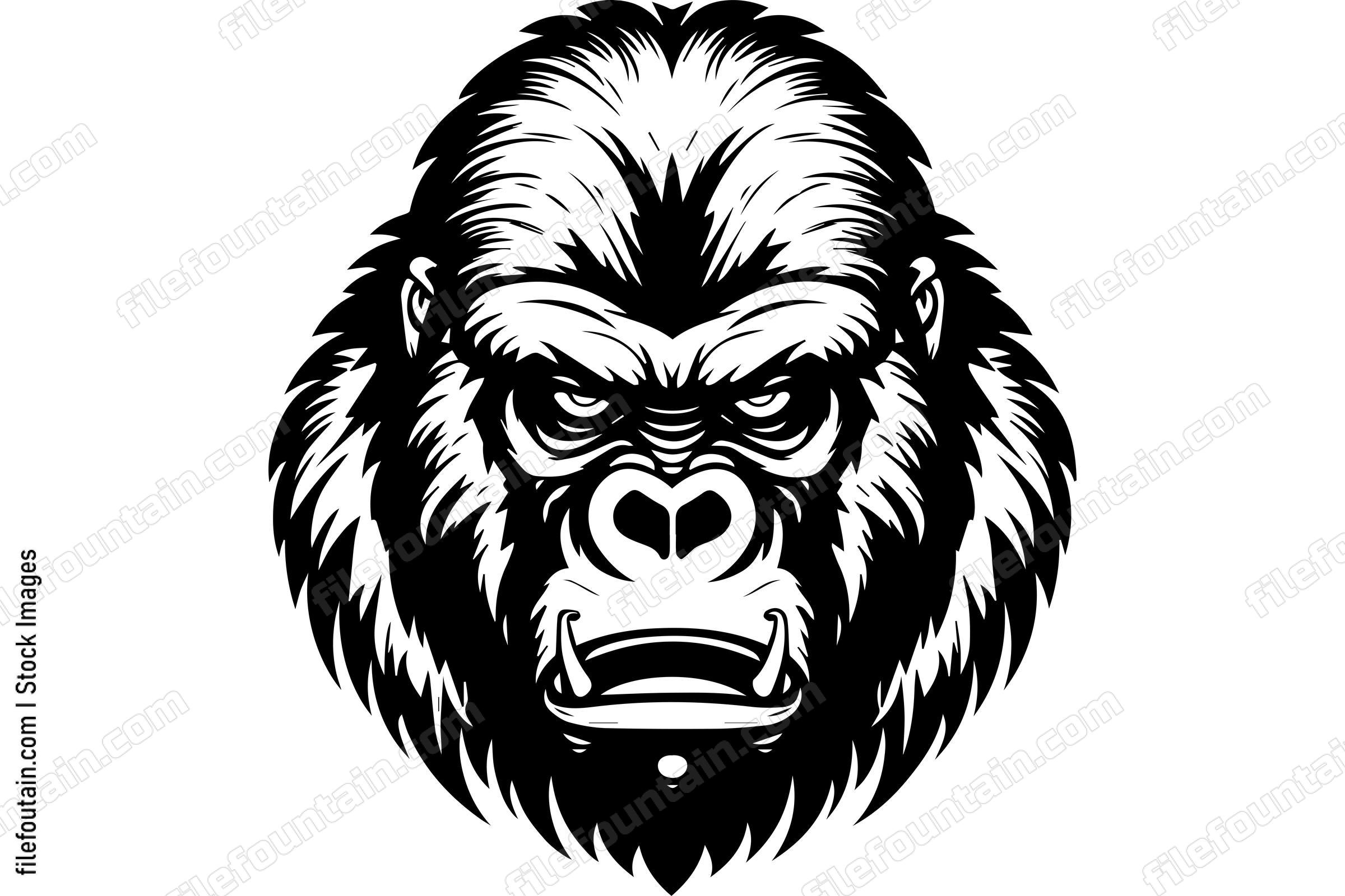 Silverback Gorilla