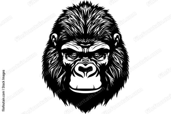 Silverback Gorilla