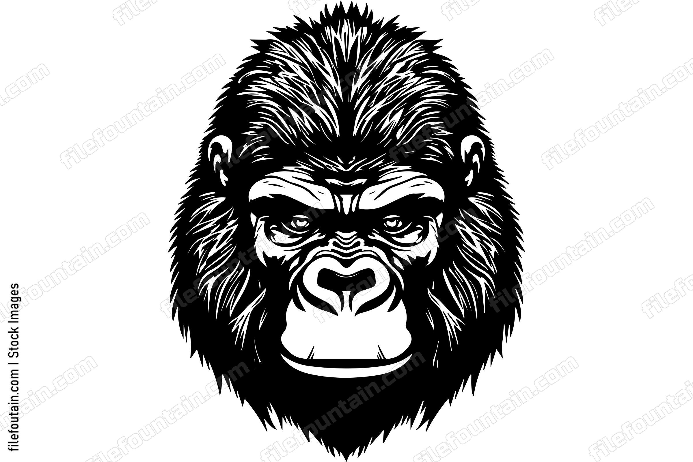 Silverback Gorilla