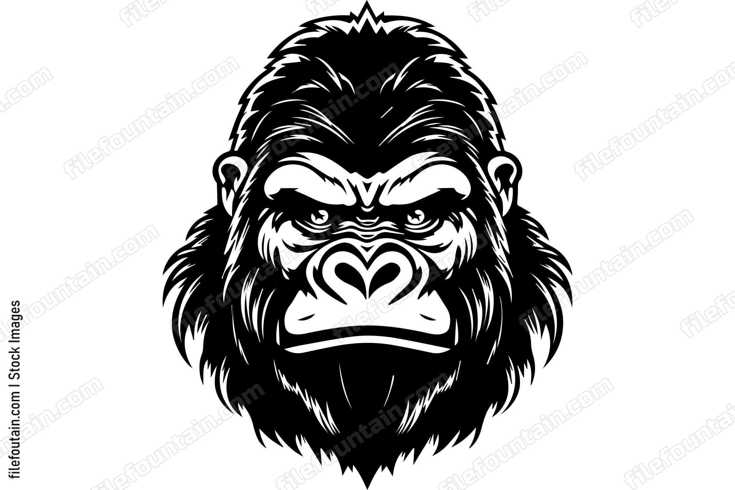 Silverback Gorilla