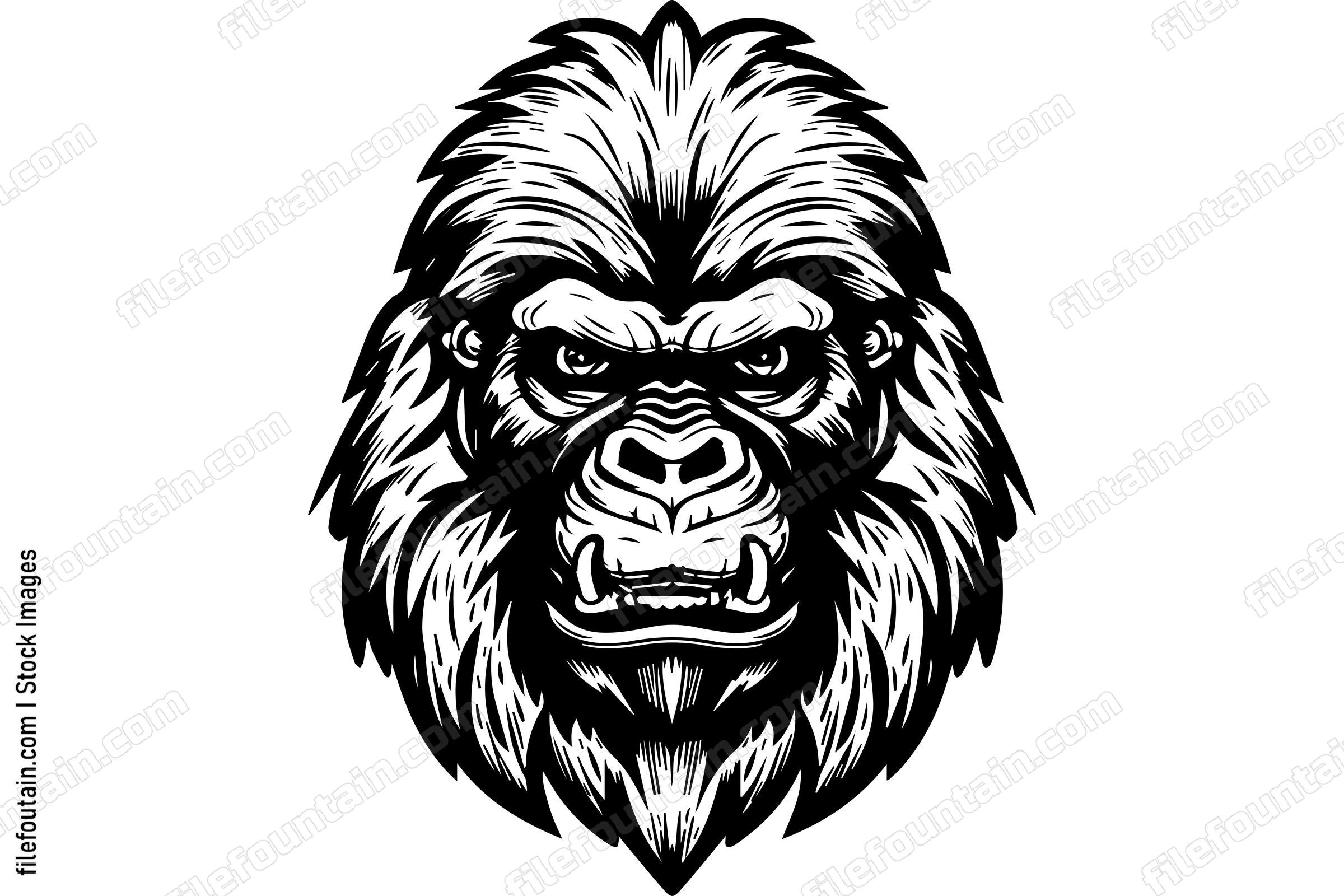 Silverback Gorilla