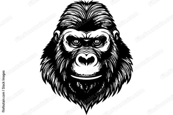 Silverback Gorilla