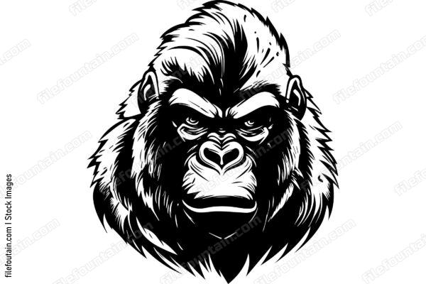 Silverback Gorilla