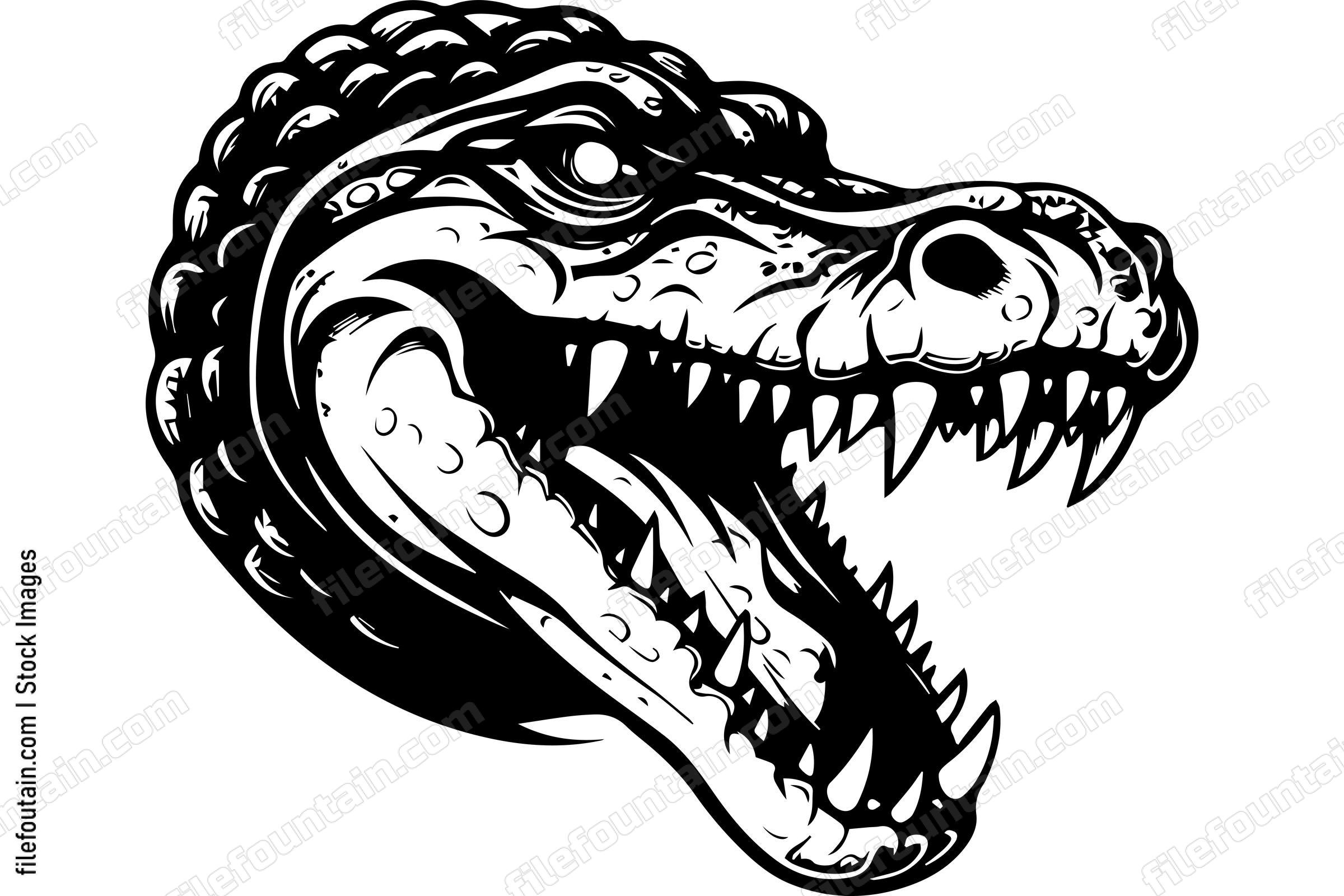 Alligator
