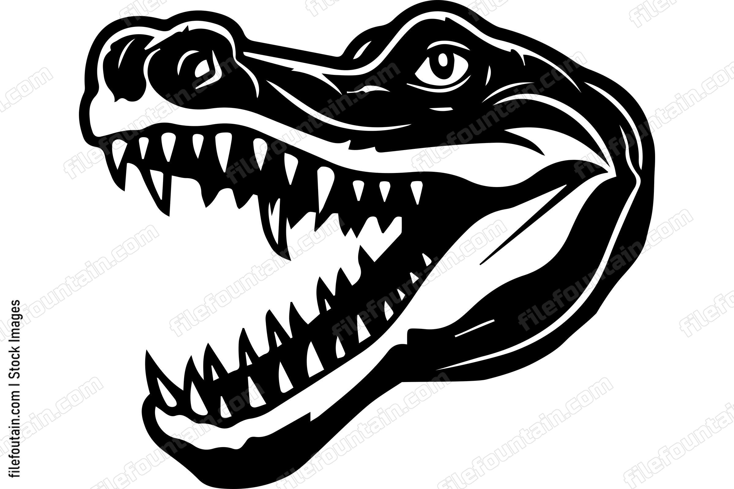 Alligator