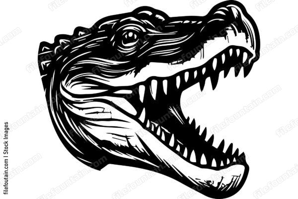 Alligator