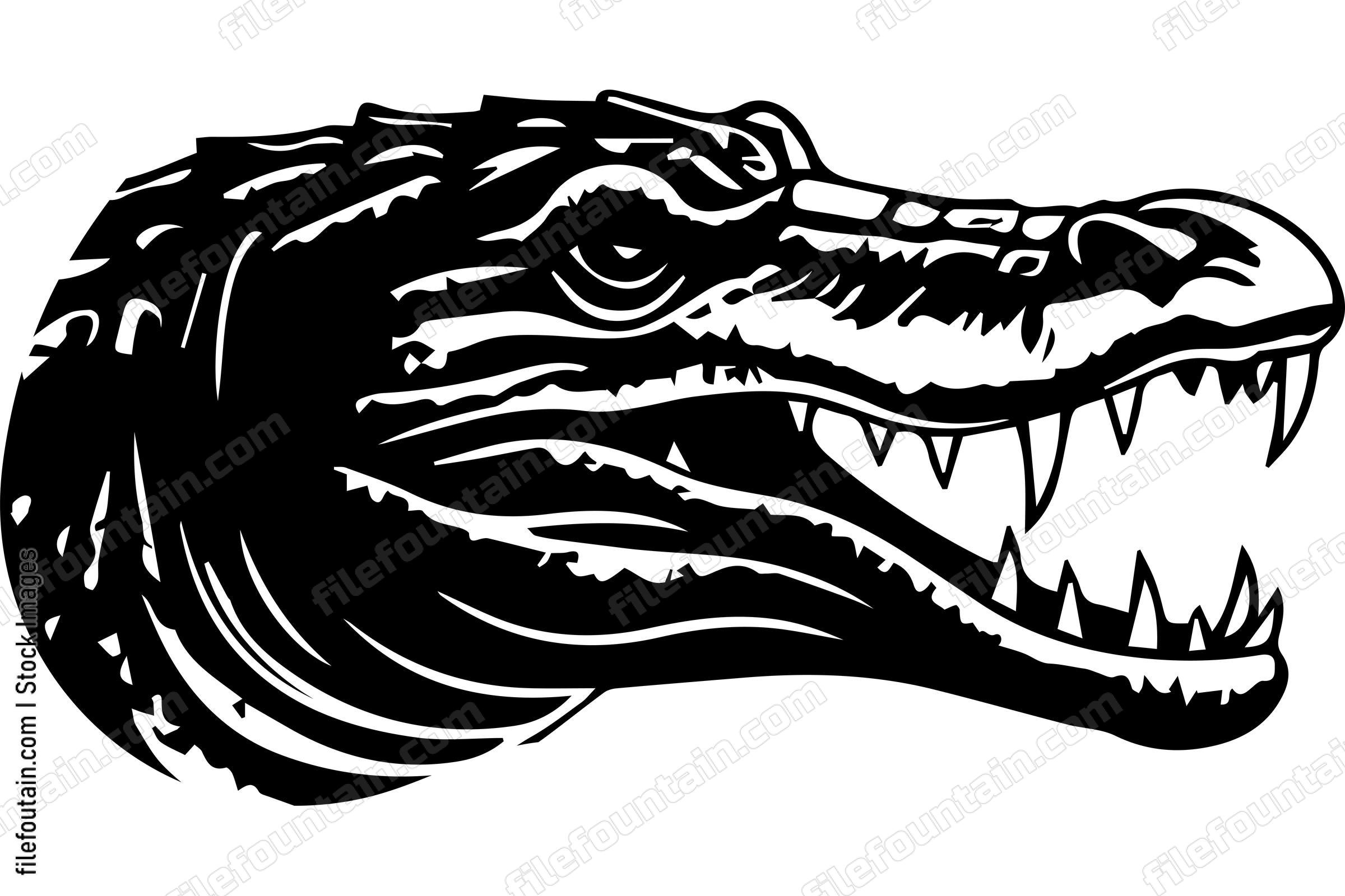 Alligator