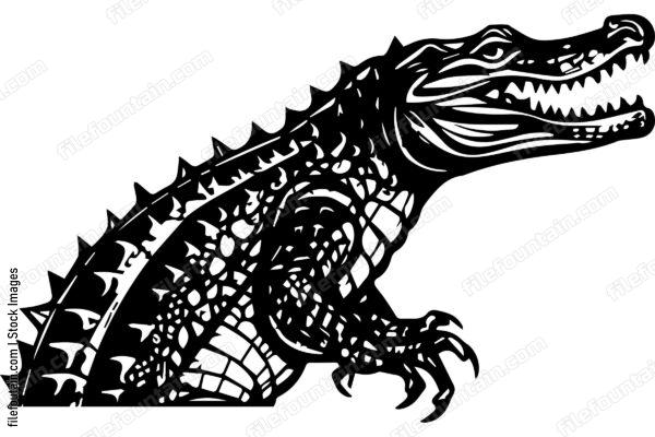 Alligator