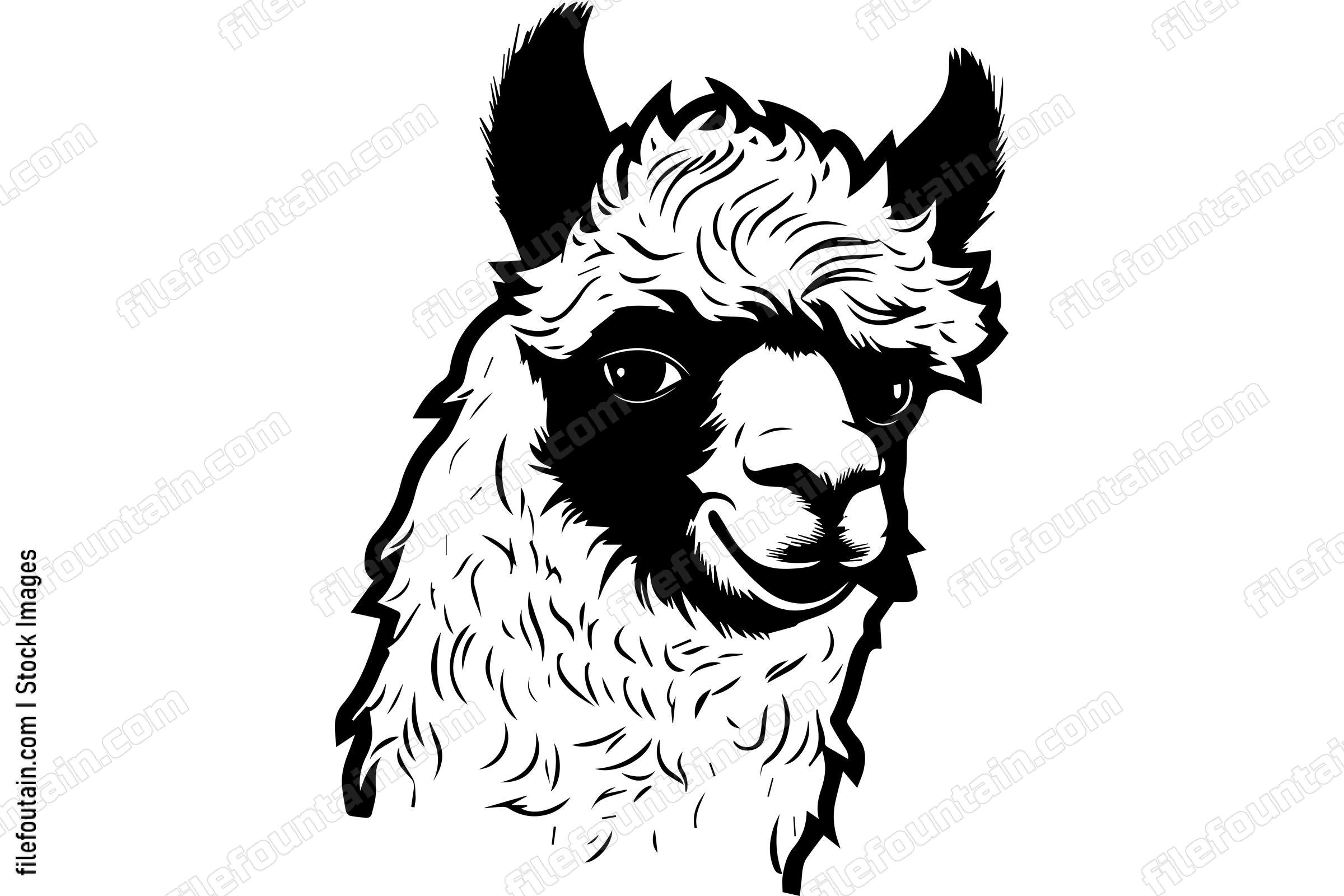 Alpaca
