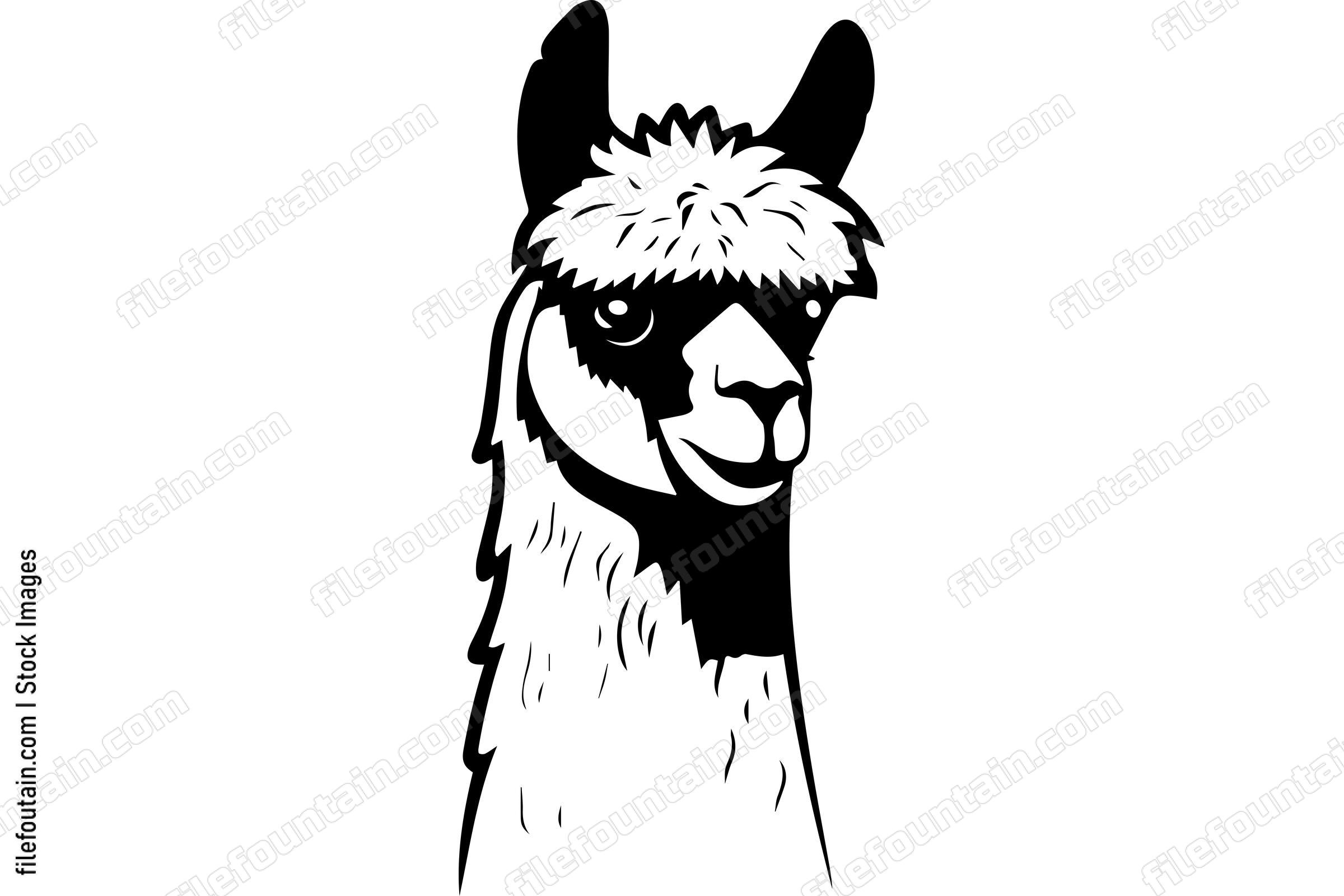 Alpaca