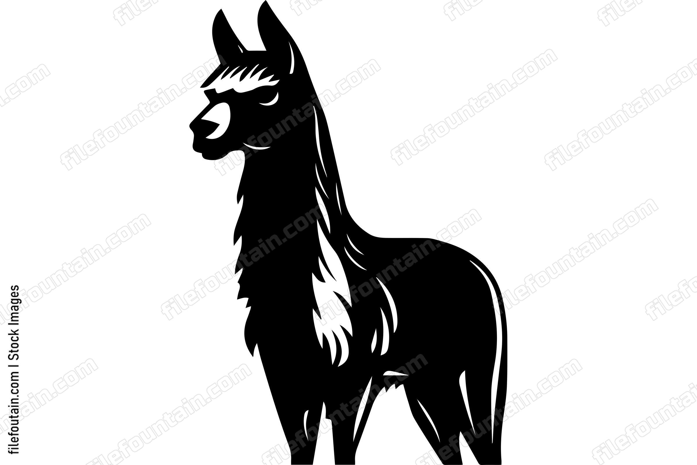 Alpaca