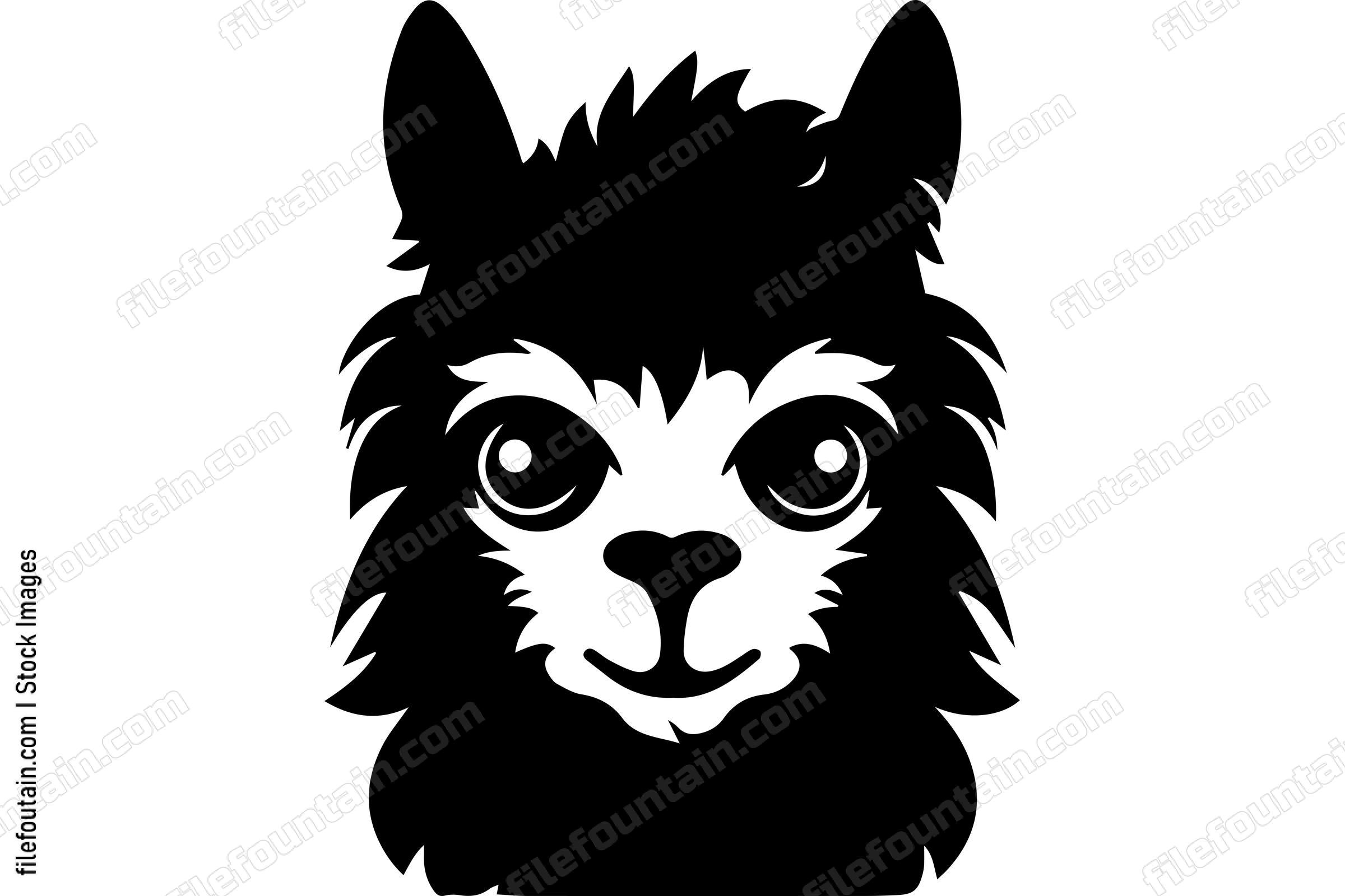 Alpaca