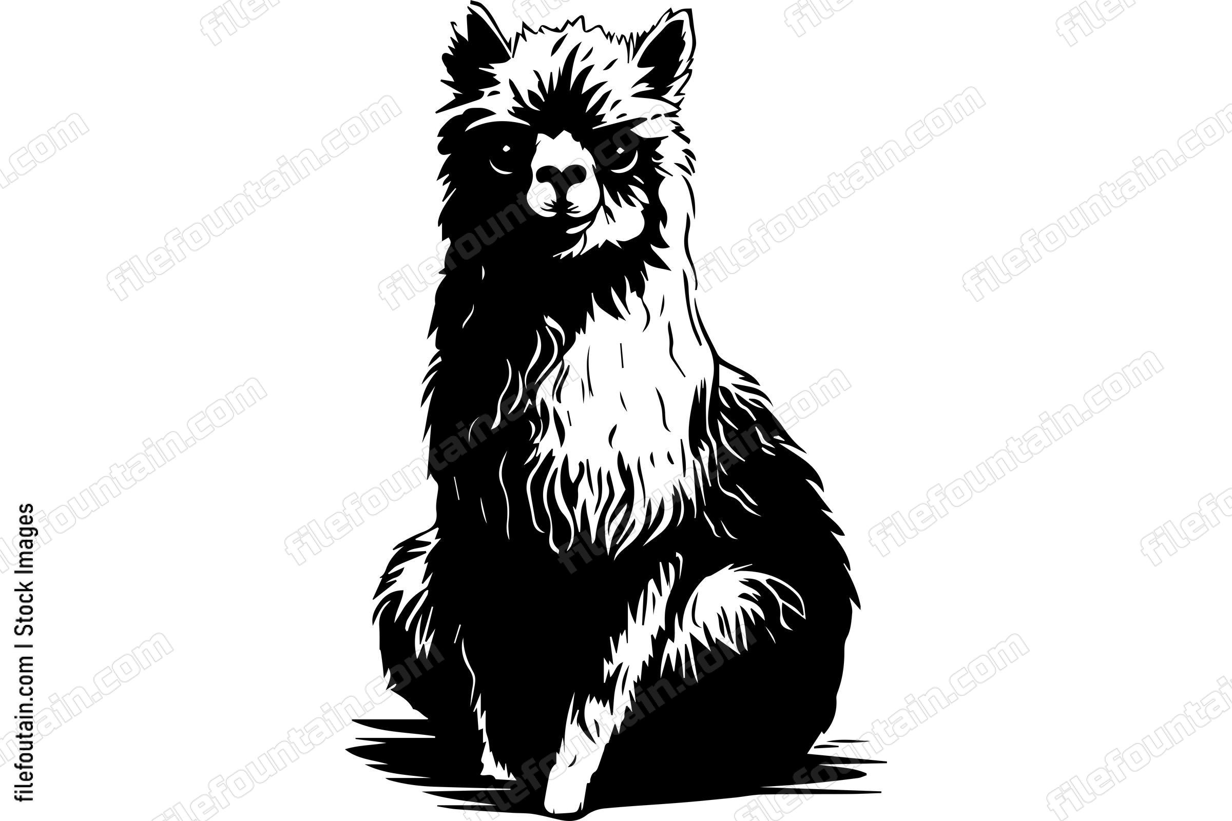 Alpaca