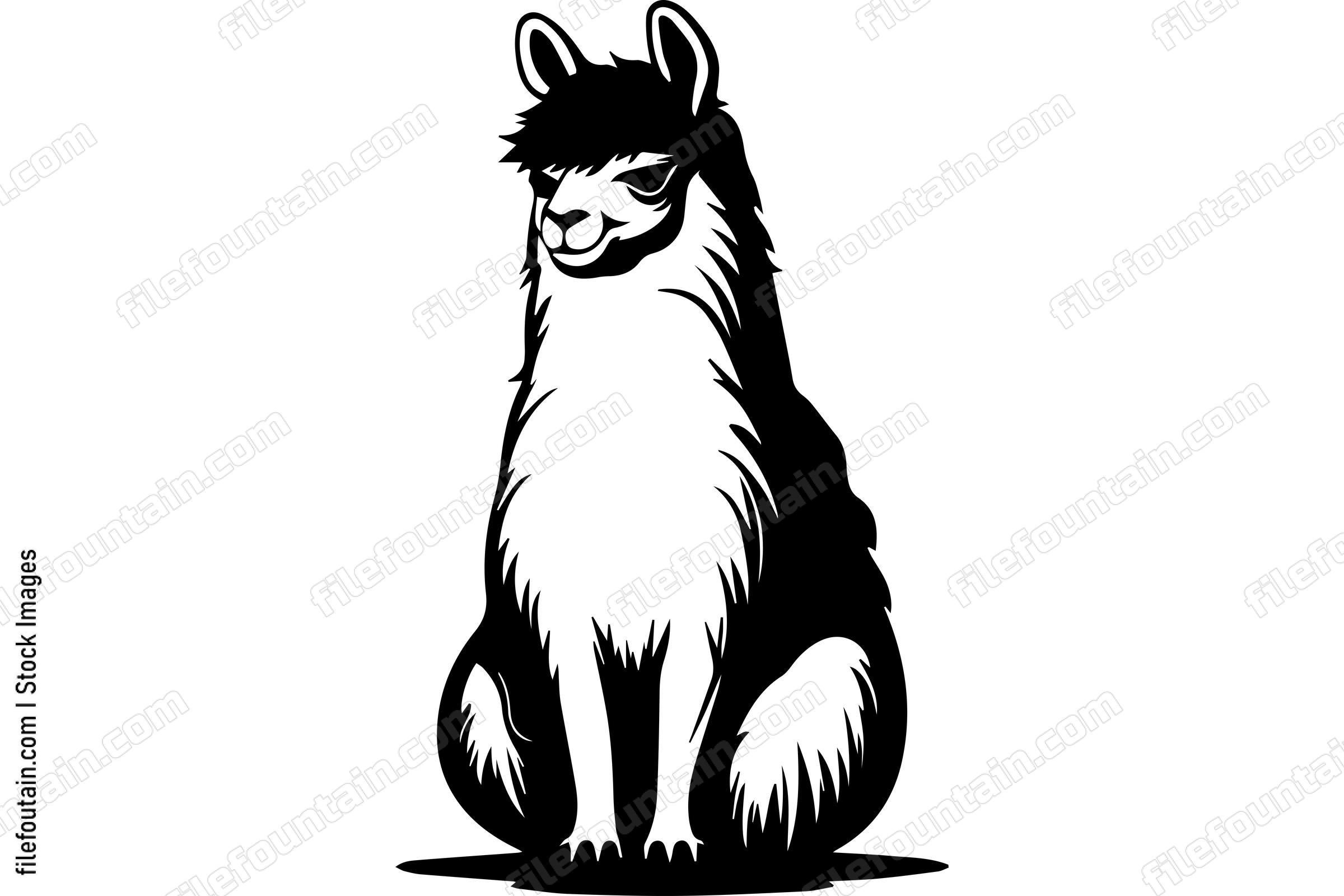 Alpaca
