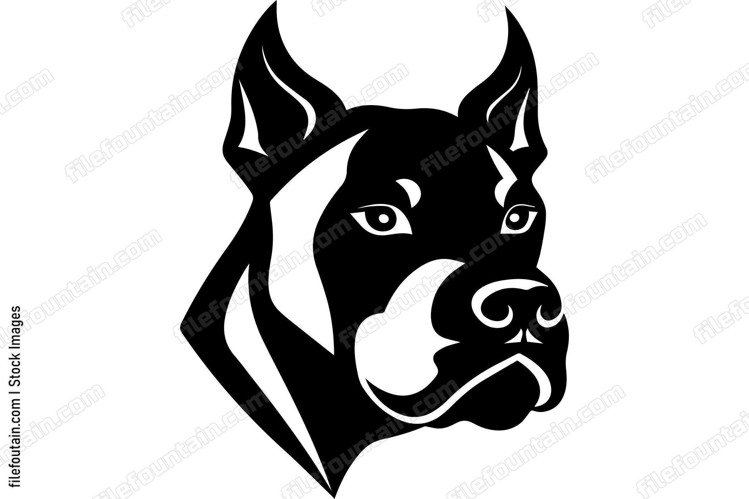 American Pit Bull Terrier