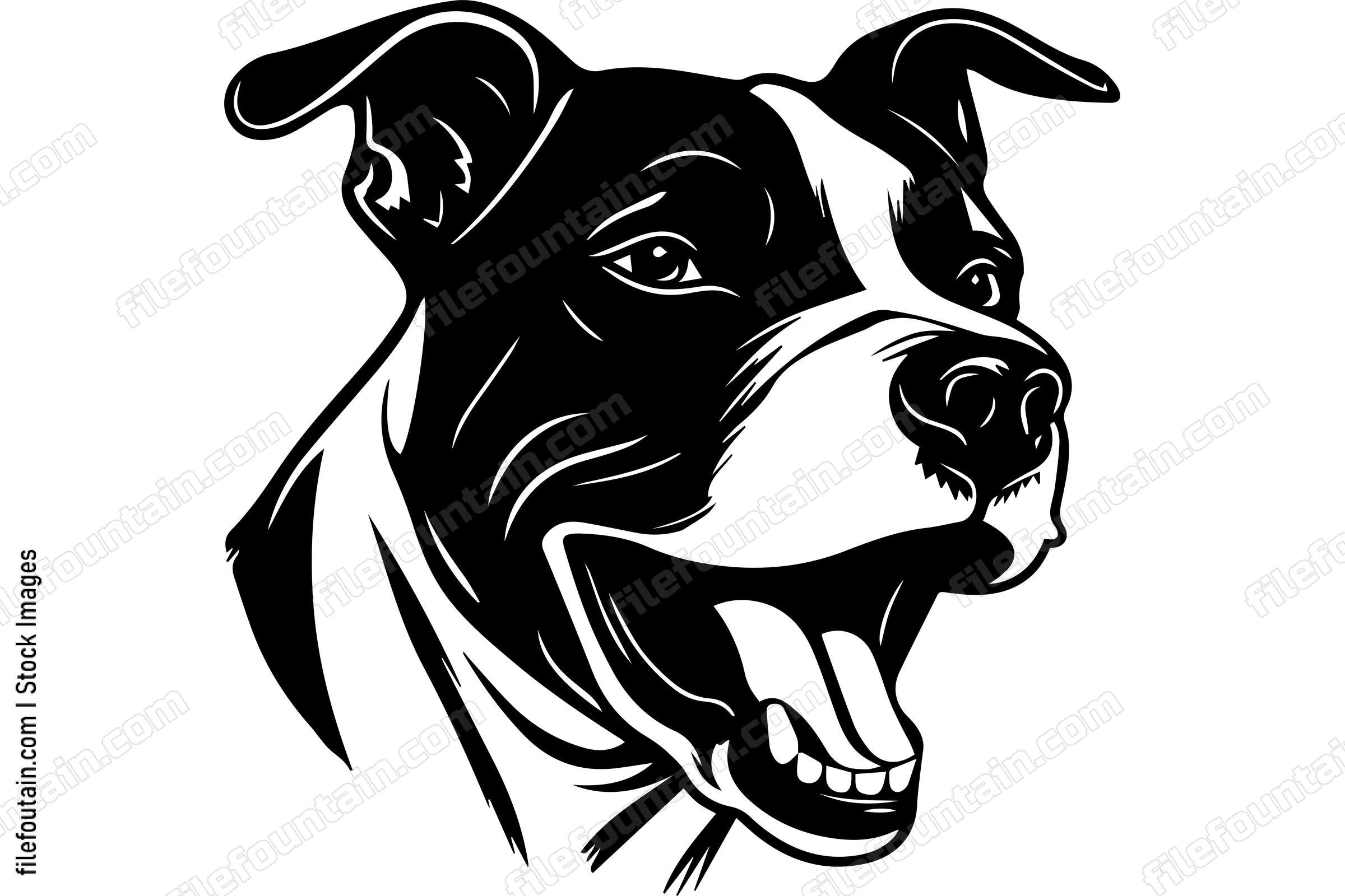 American Pit Bull Terrier