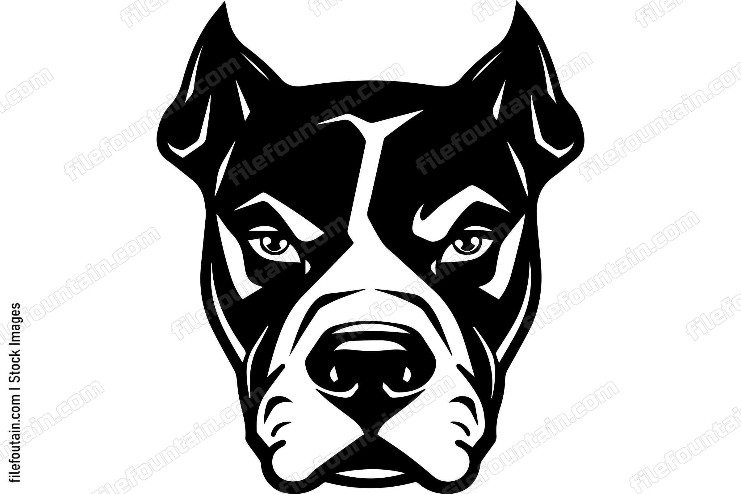 American Pit Bull Terrier