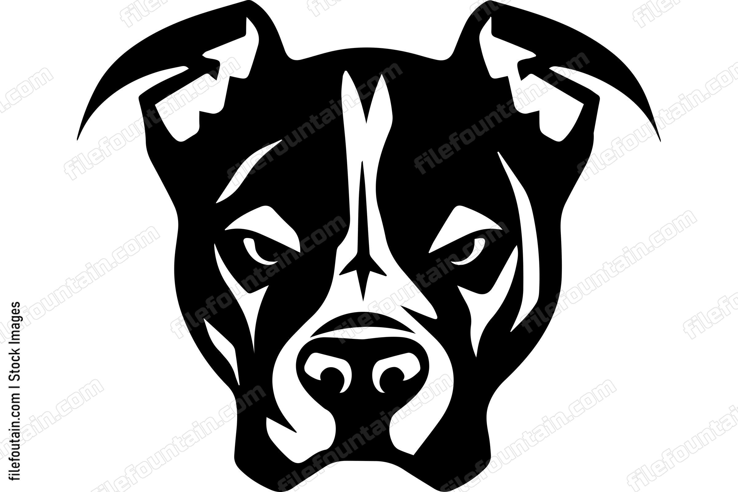 American Pit Bull Terrier