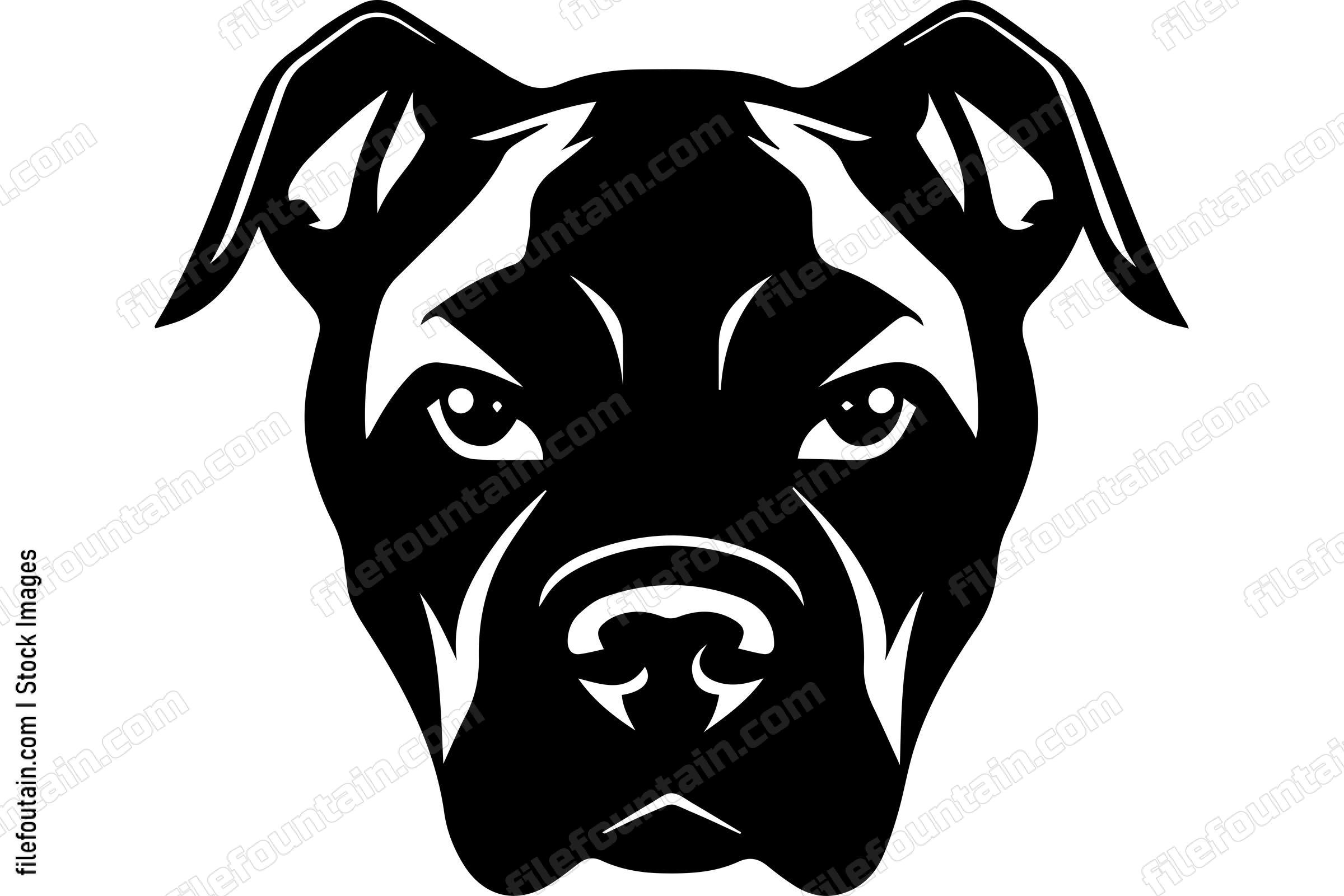 American Pit Bull Terrier