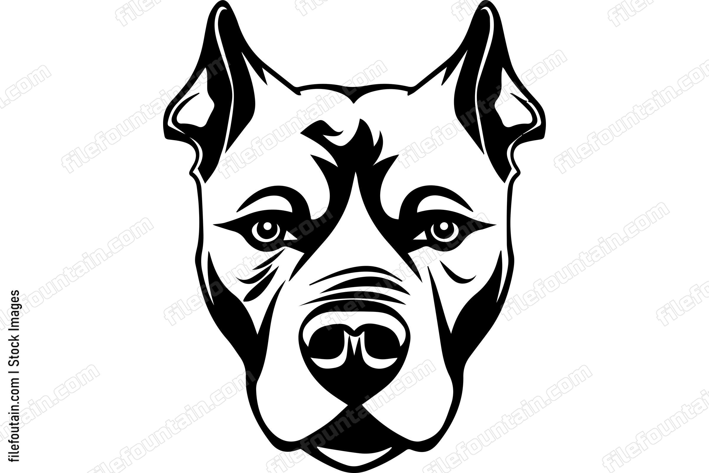 American Pit Bull Terrier