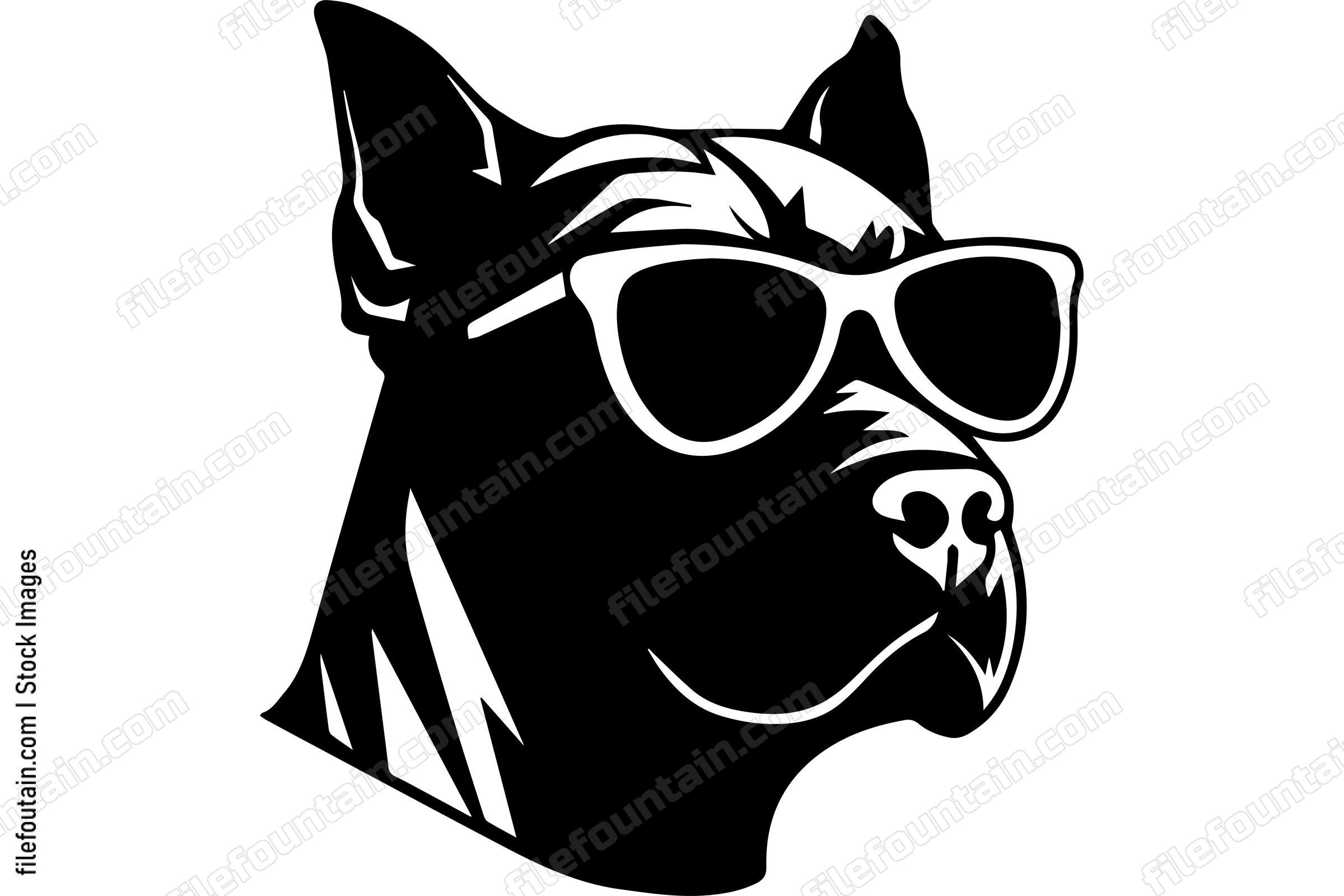 American Pit Bull Terrier In Sunglasses