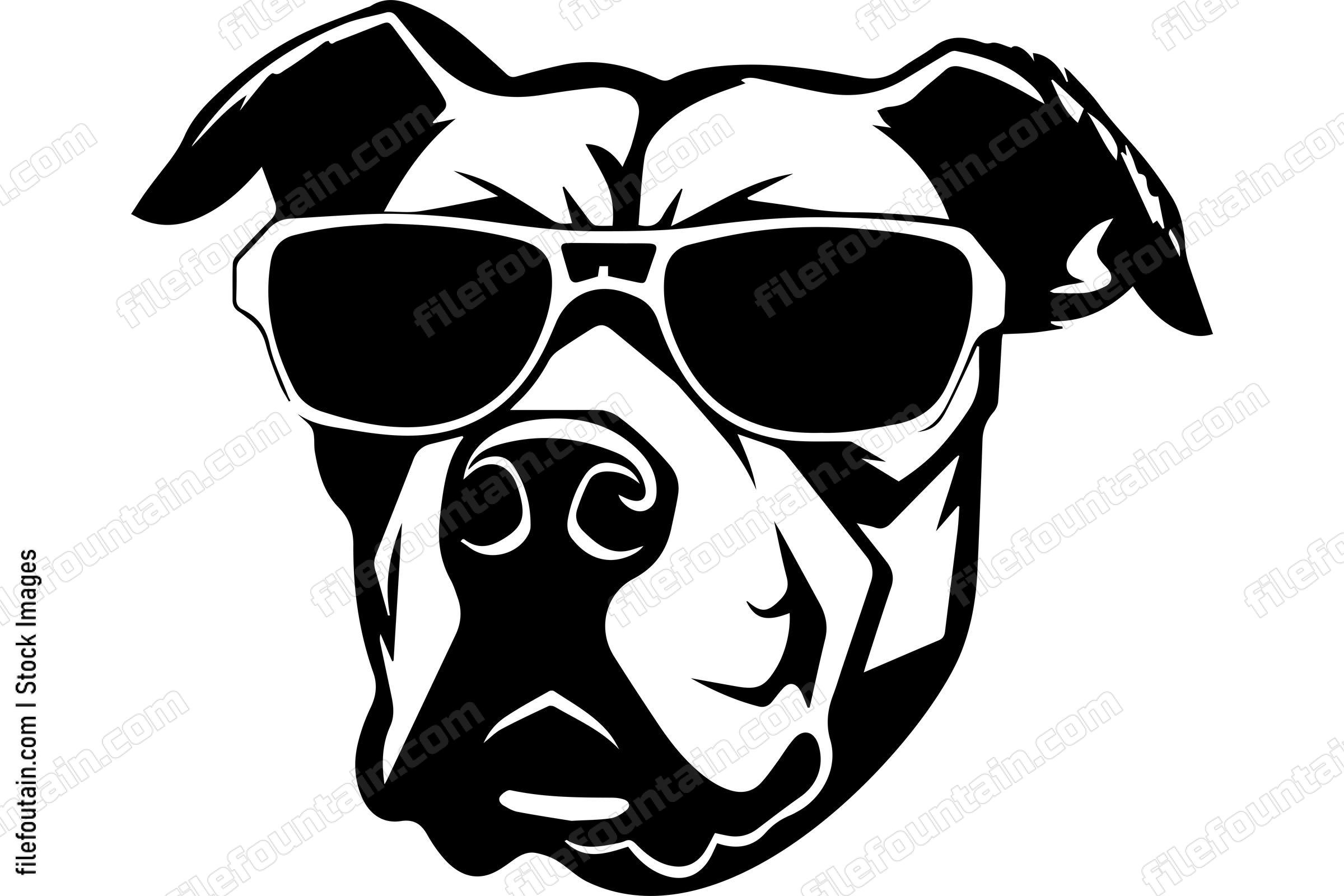 American Pit Bull Terrier In Sunglasses