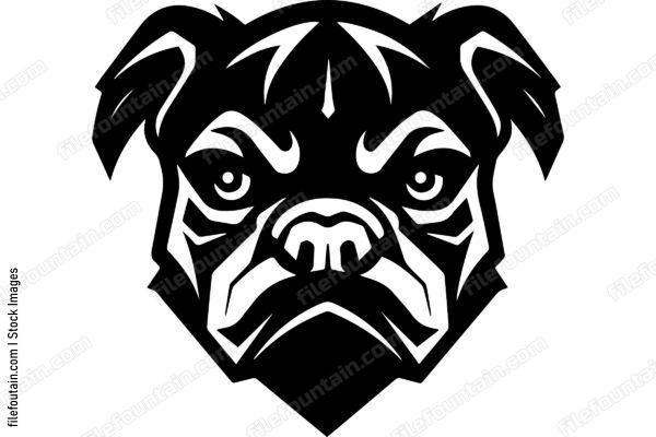 Angry Dog