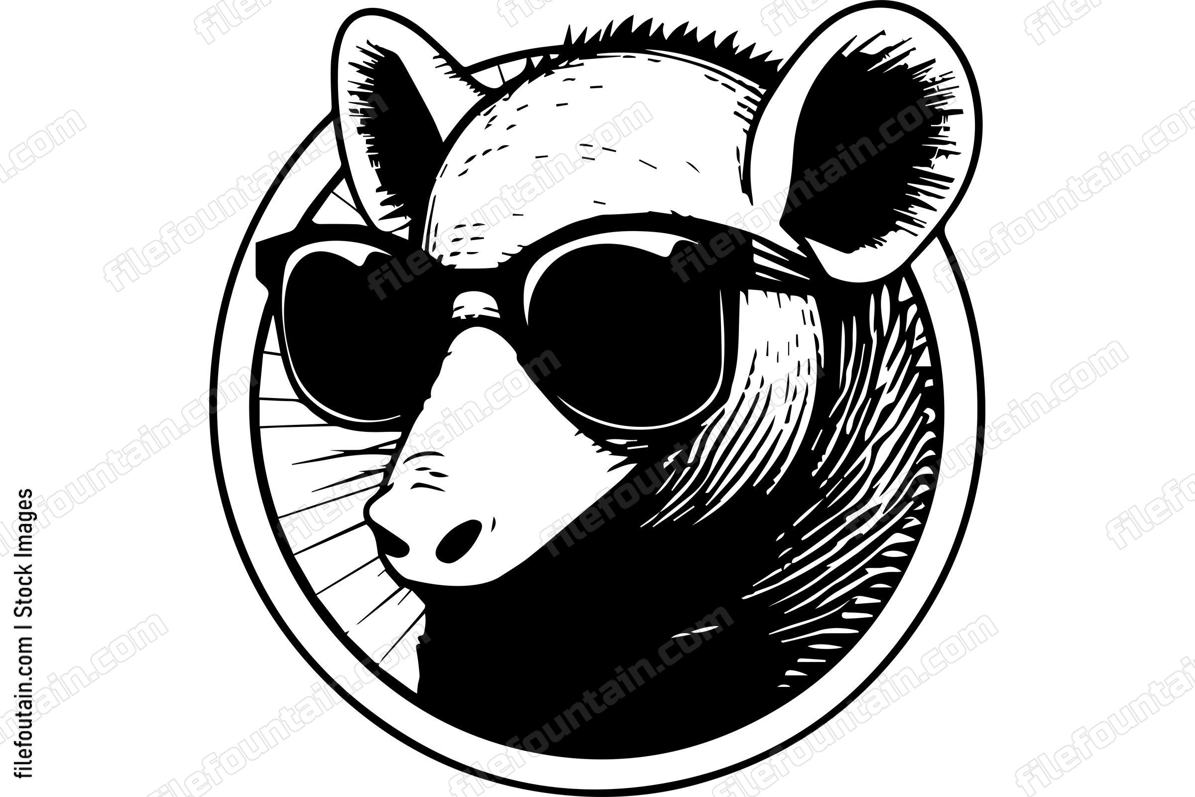 Armadillo In Sunglasses