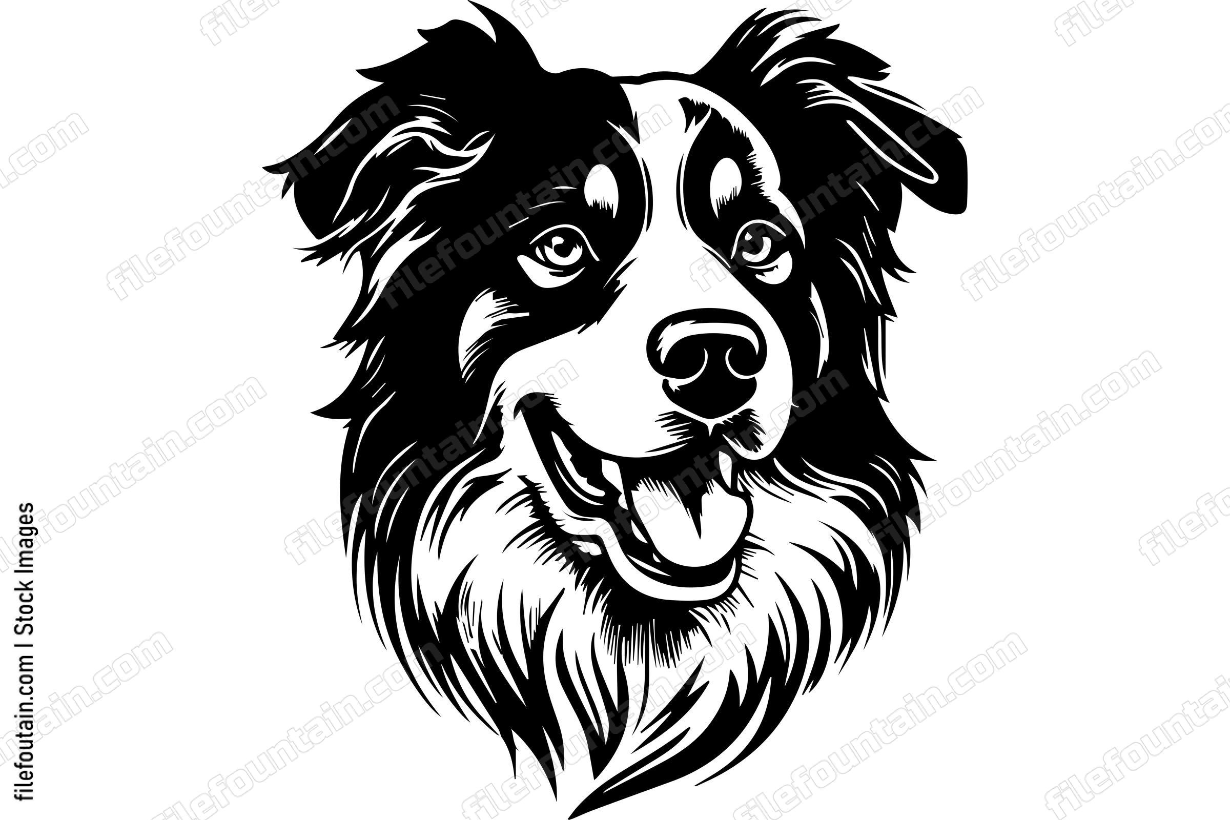Australian Cattle Dog