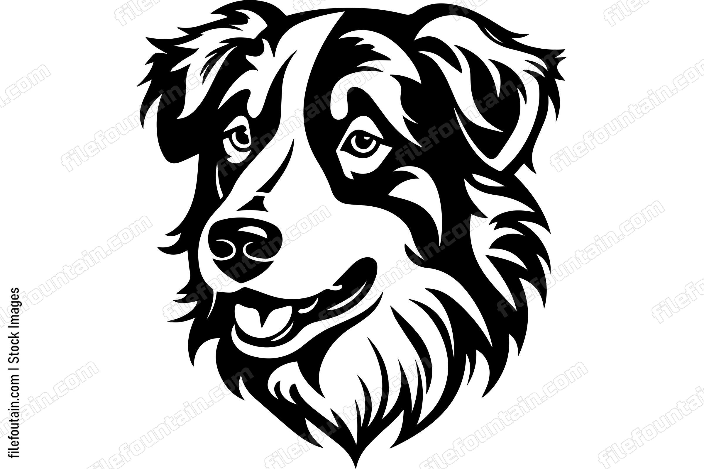 Australian Cattle Dog